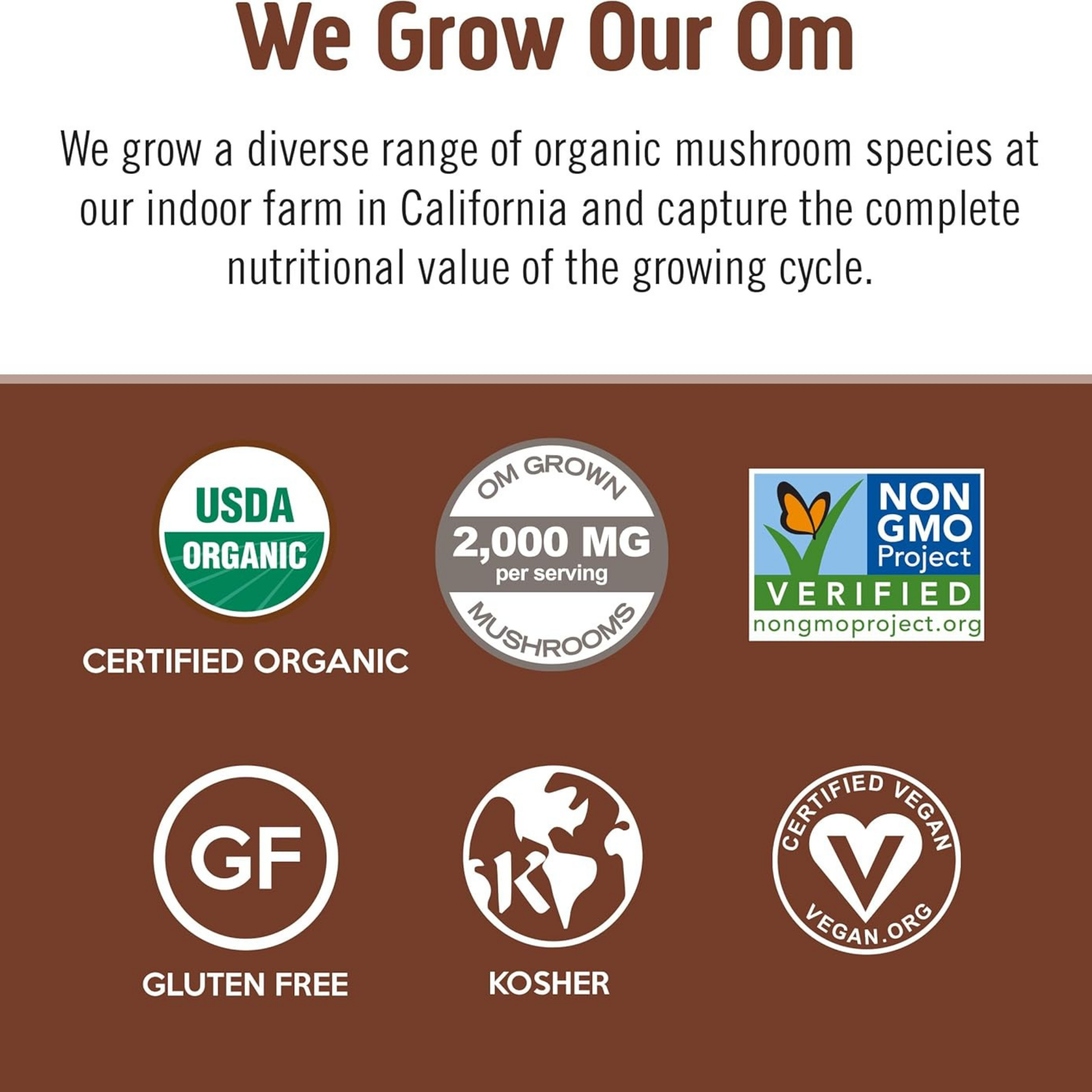 Om Mushrooms, Superfoods Mushroom Blend Coffee, 10 Packets, 0.2 oz, 5.8 g Each