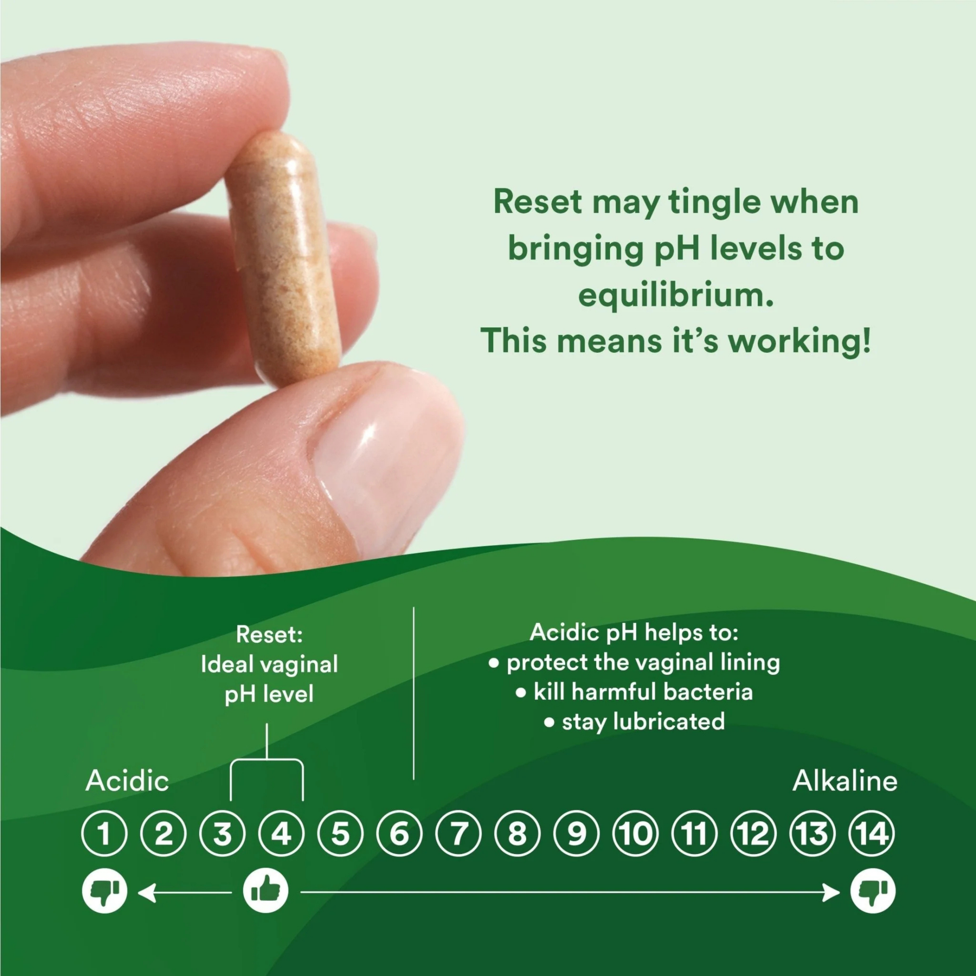 Good Clean Love, Reset, Vaginal Homeopathic Suppository, 10 Gelatin Suppositories