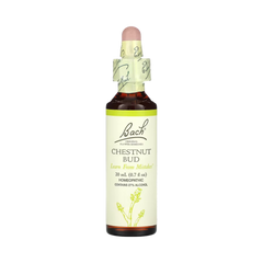 Bach, Original Flower Remedies, Chestnut Bud, 20 Ml