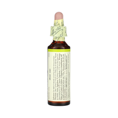 Bach, Original Flower Remedies, Chestnut Bud, 20 Ml