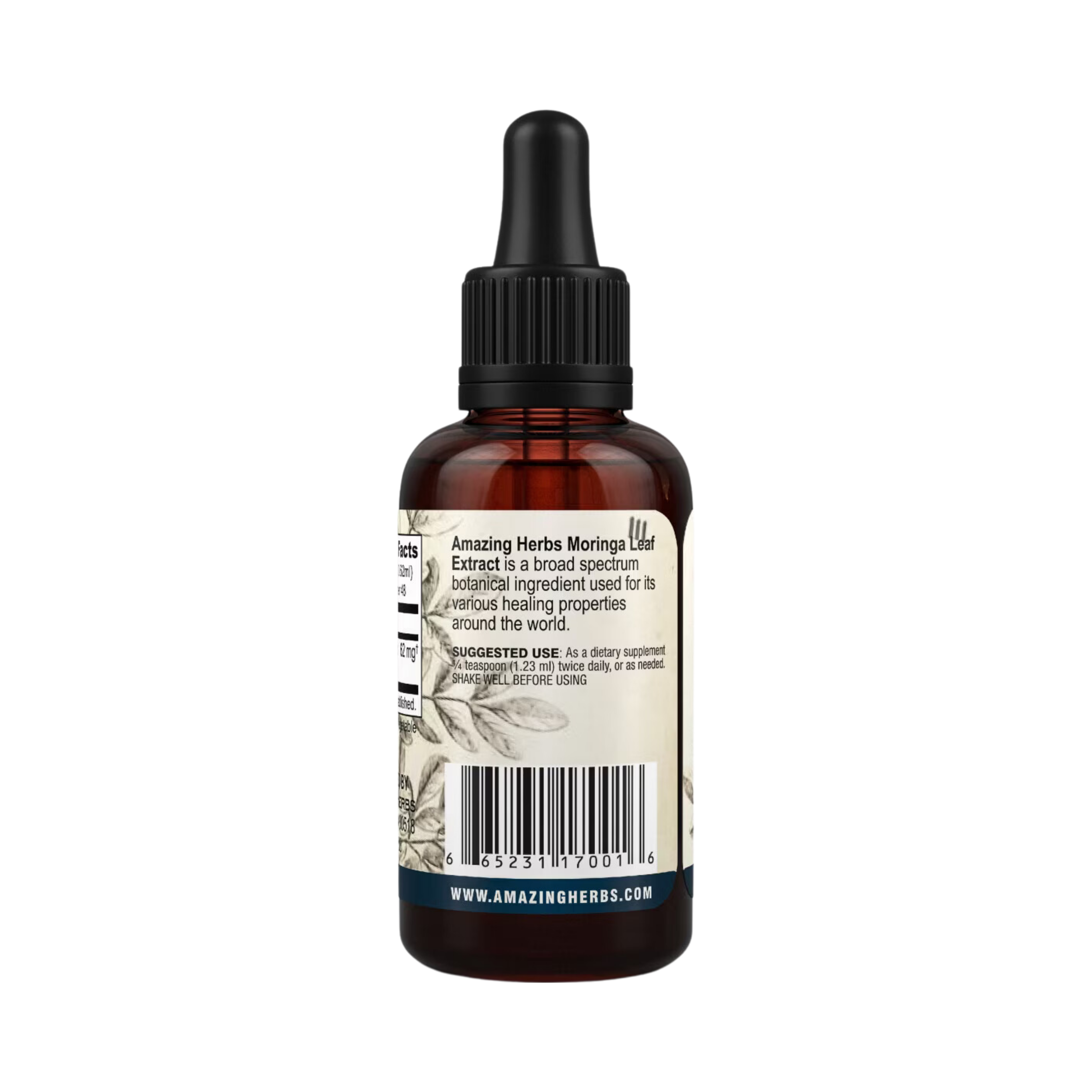 Amazing Herbs, Moringa Leaf Liquid Extract, 100 Mg, 1 Fl Oz