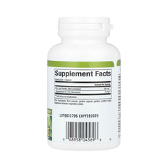 Natural Factors, HerbalFactors, Olive Leaf, 500 Mg, 60 Capsules