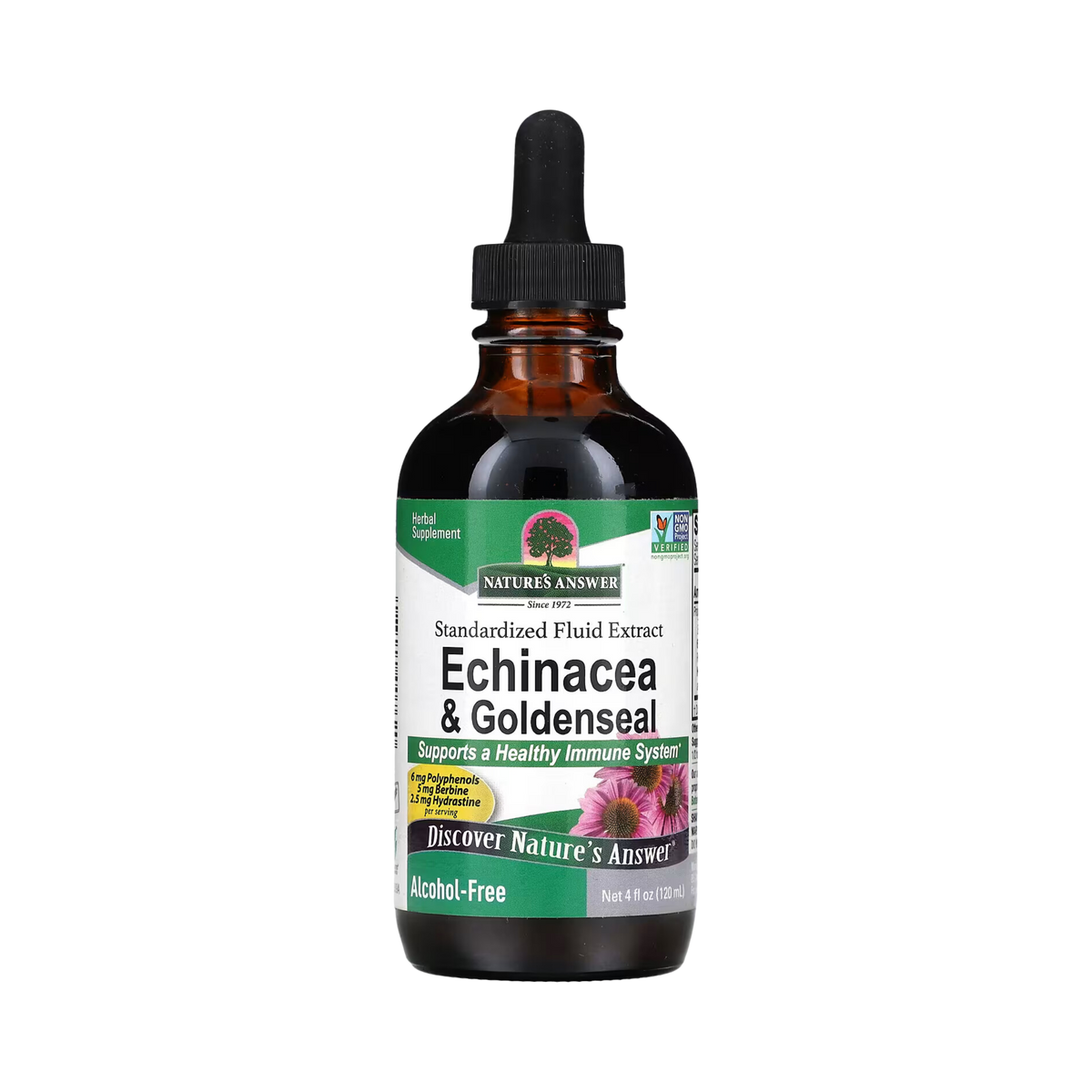 Nature's Answer - Echinacea & Goldenseal, Alcohol-Free, 4 OZ