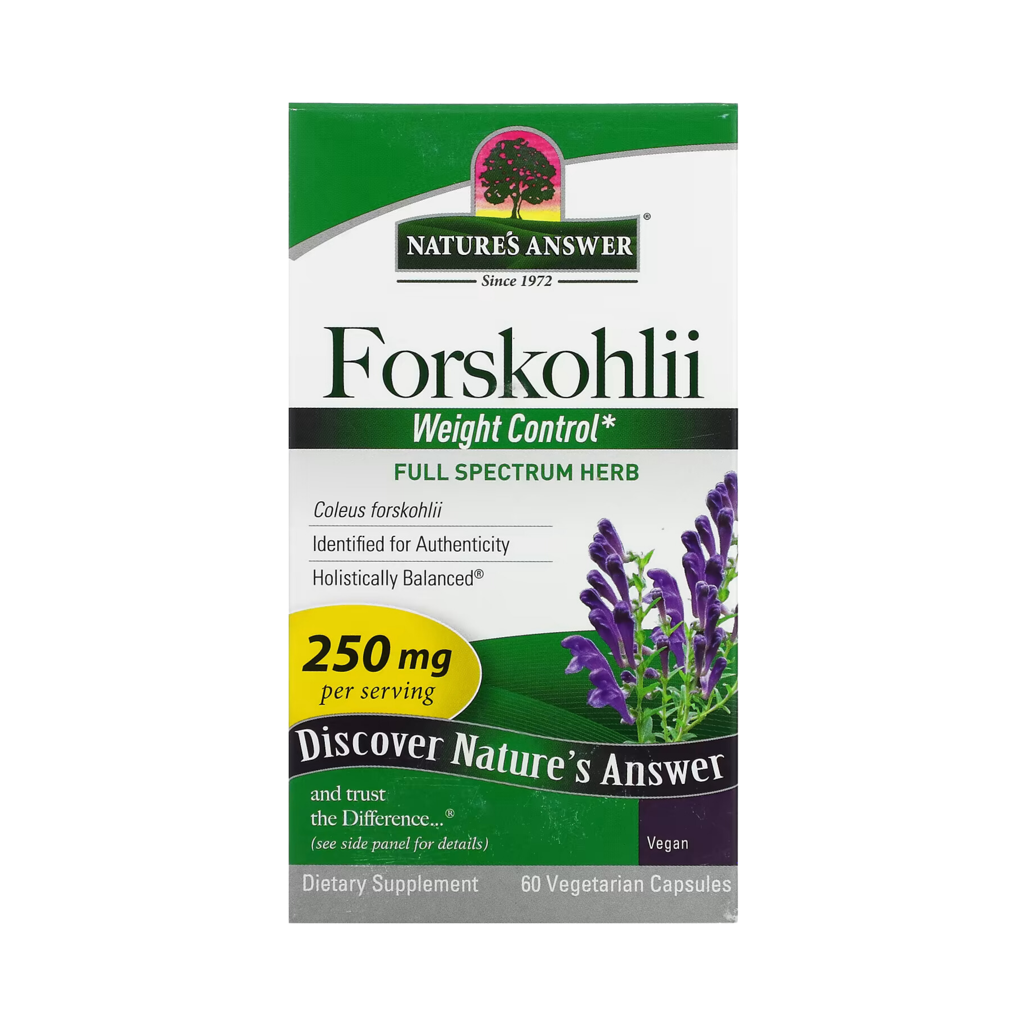 Nature's Answer - Forskohlii, 60 Vegetarian Capsules
