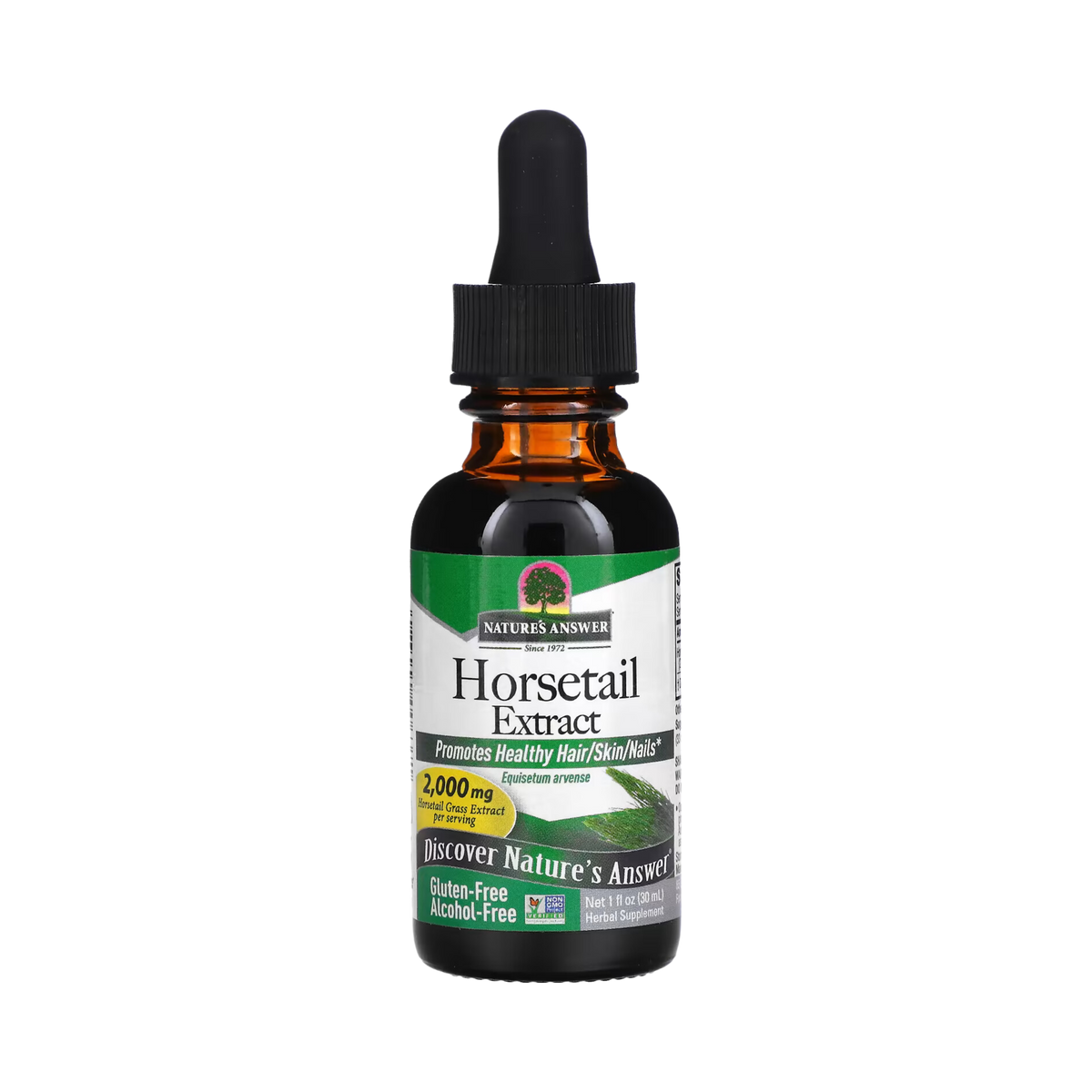 Nature’s Answer - Horsetail Alcohol Free Extract, 1 Oz