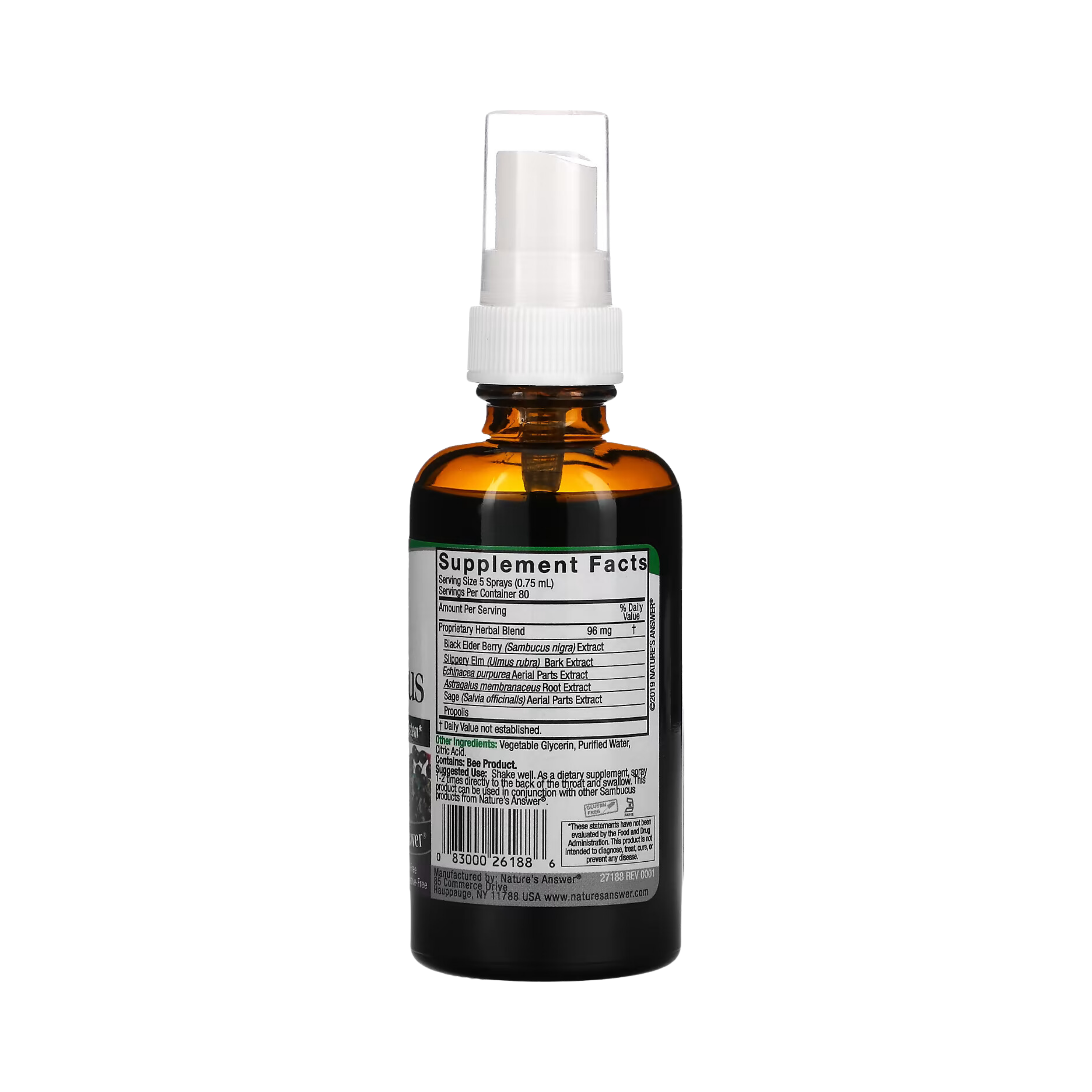 Nature's Answer, Sambucus, Black Elderberry Extract Spray, Alcohol-Free, 2 fl oz (60 ml)