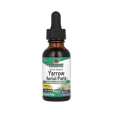 Nature’s Answer - Yarrow Flowers Alcohol Free Extract, 1 Oz
