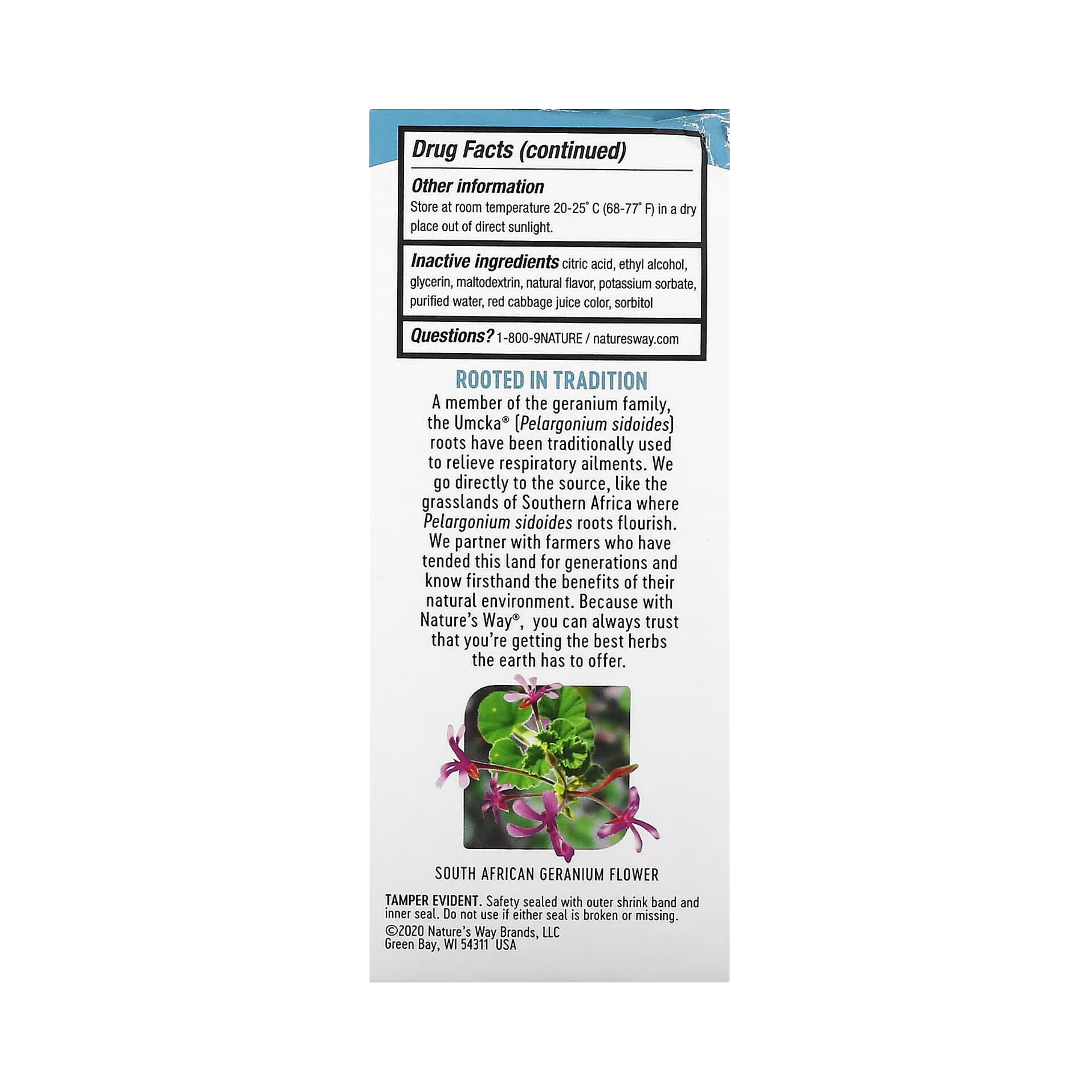Nature's Way, Umcka ColdCare, Soothing Syrup, Sugar Free, Grape, 4 Fl Oz