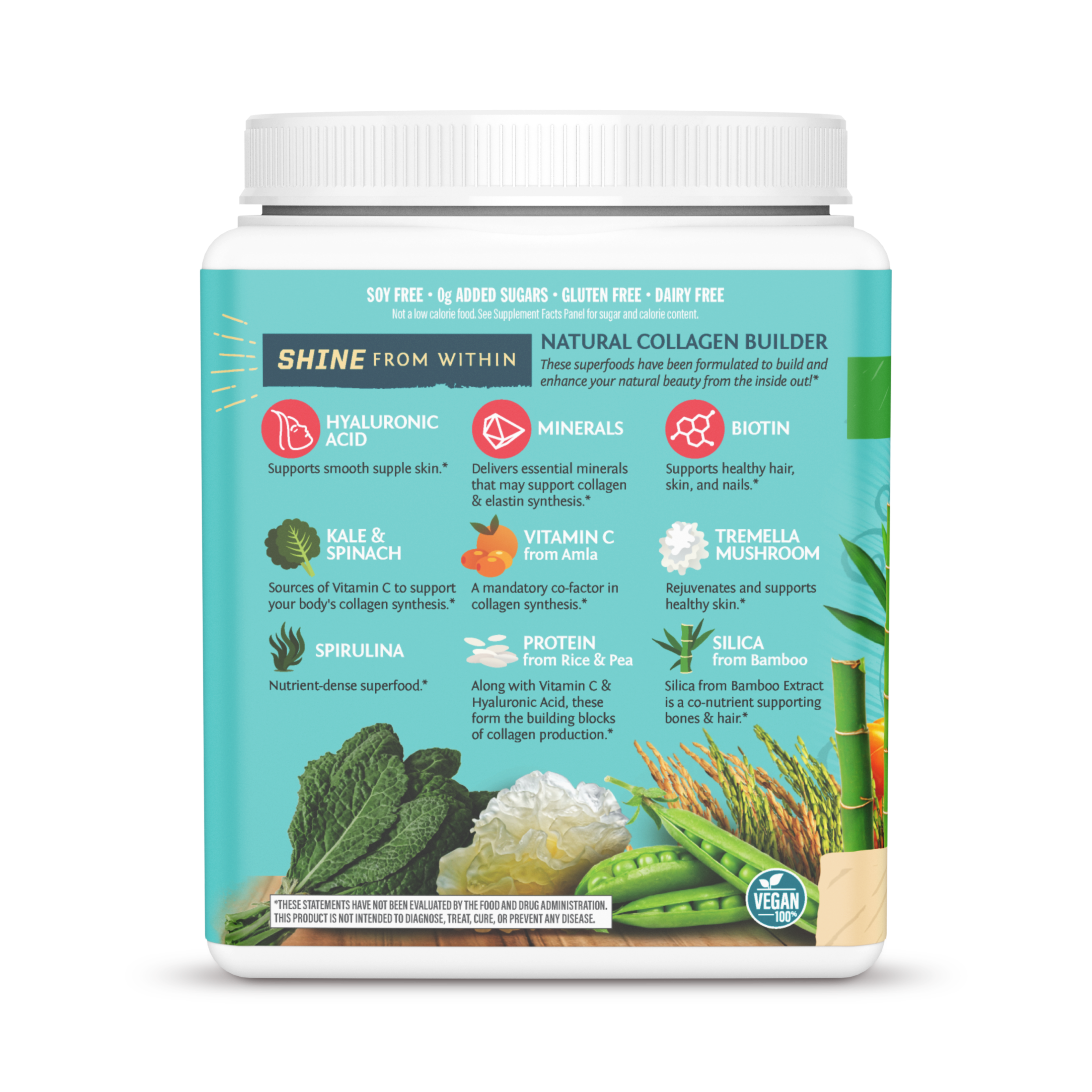 Sunwarrior, Collagen Building Protein Peptides, Churro, 500 g