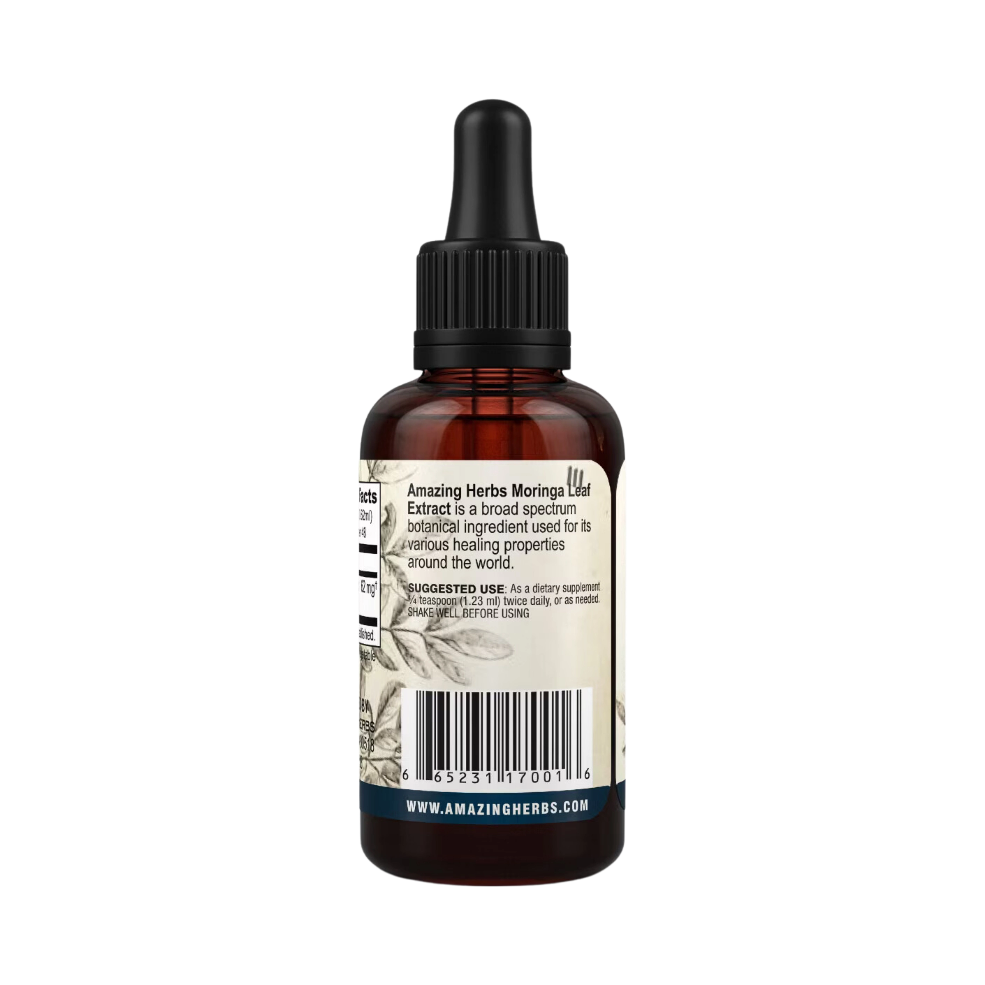 Amazing Herbs, Moringa Leaf Liquid Extract, 100 Mg, 1 Fl Oz