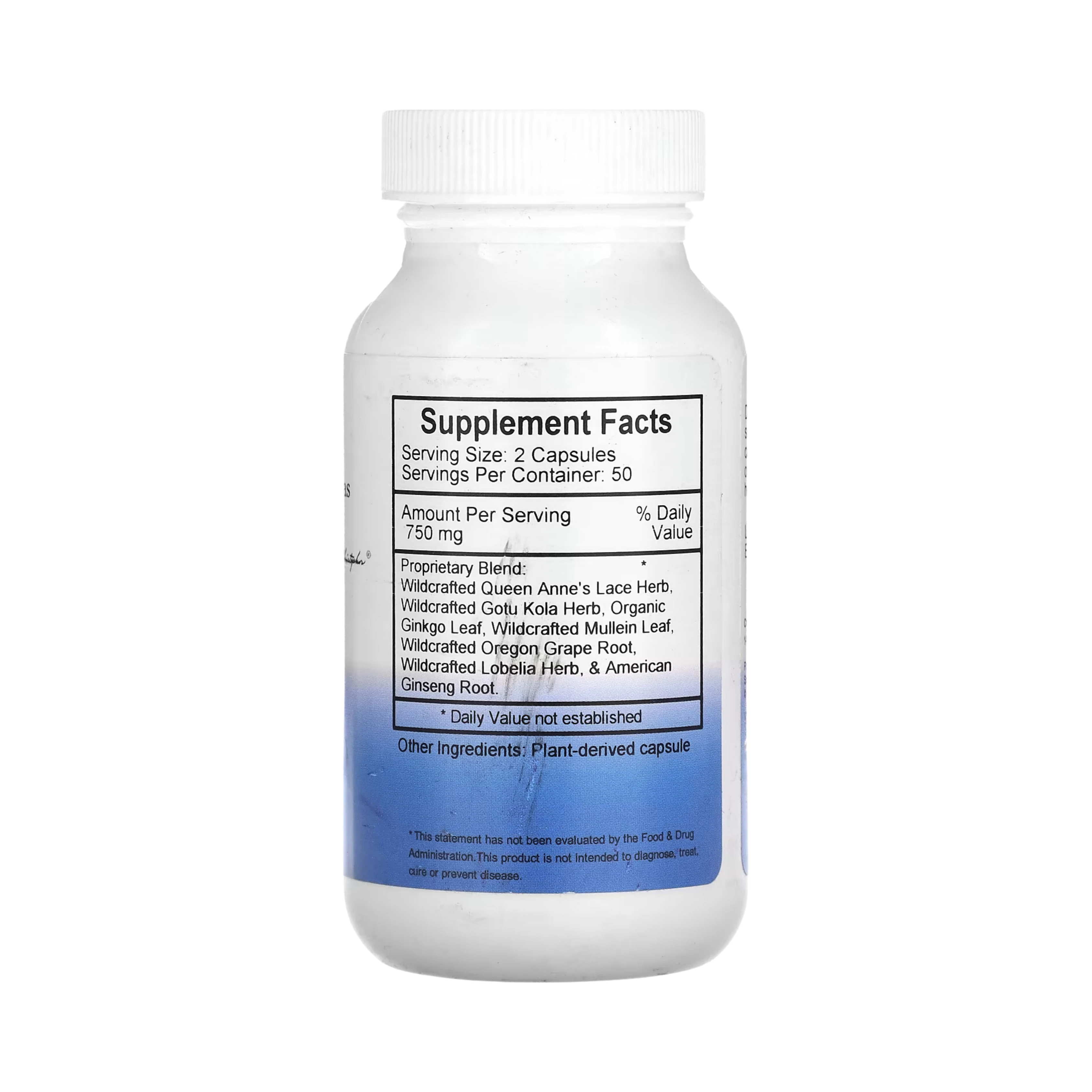 Christopher's Original Formulas, Master Gland, 100 Capsules