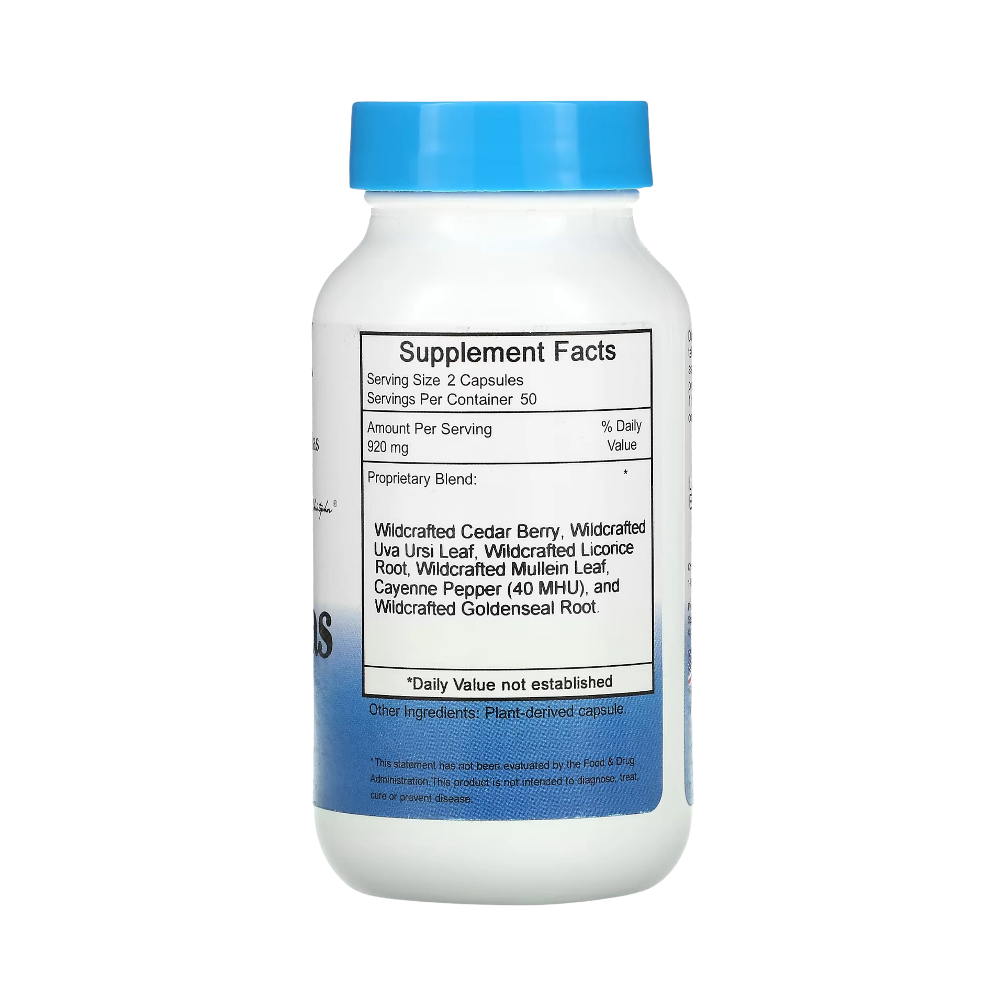 Christopher's Original Formulas, Pancreas Formula, 100 Capsules