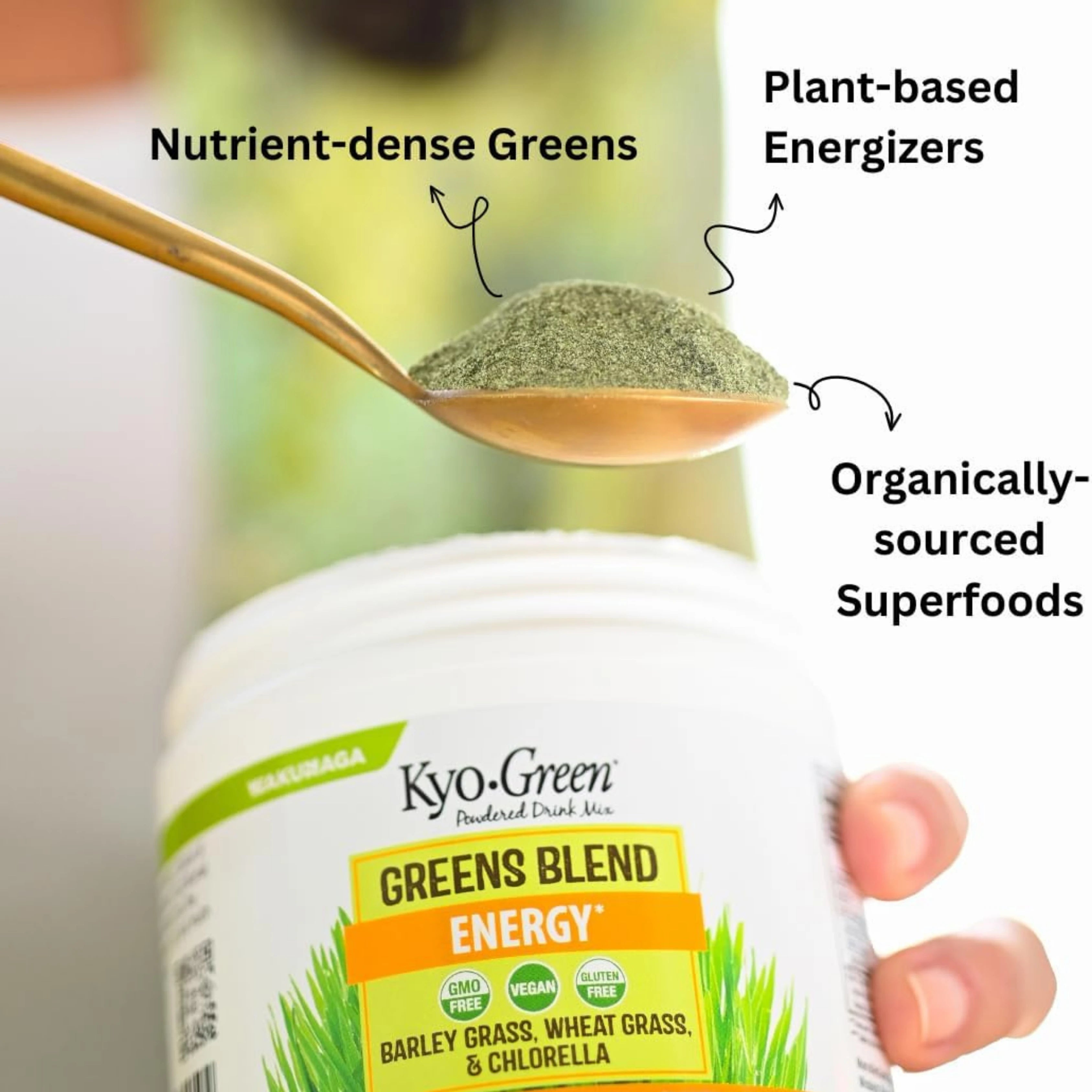 Kyolic, Kyo-Green, Powdered Drink Mix, Greens Blend, 5.3 oz, 0.33 lb