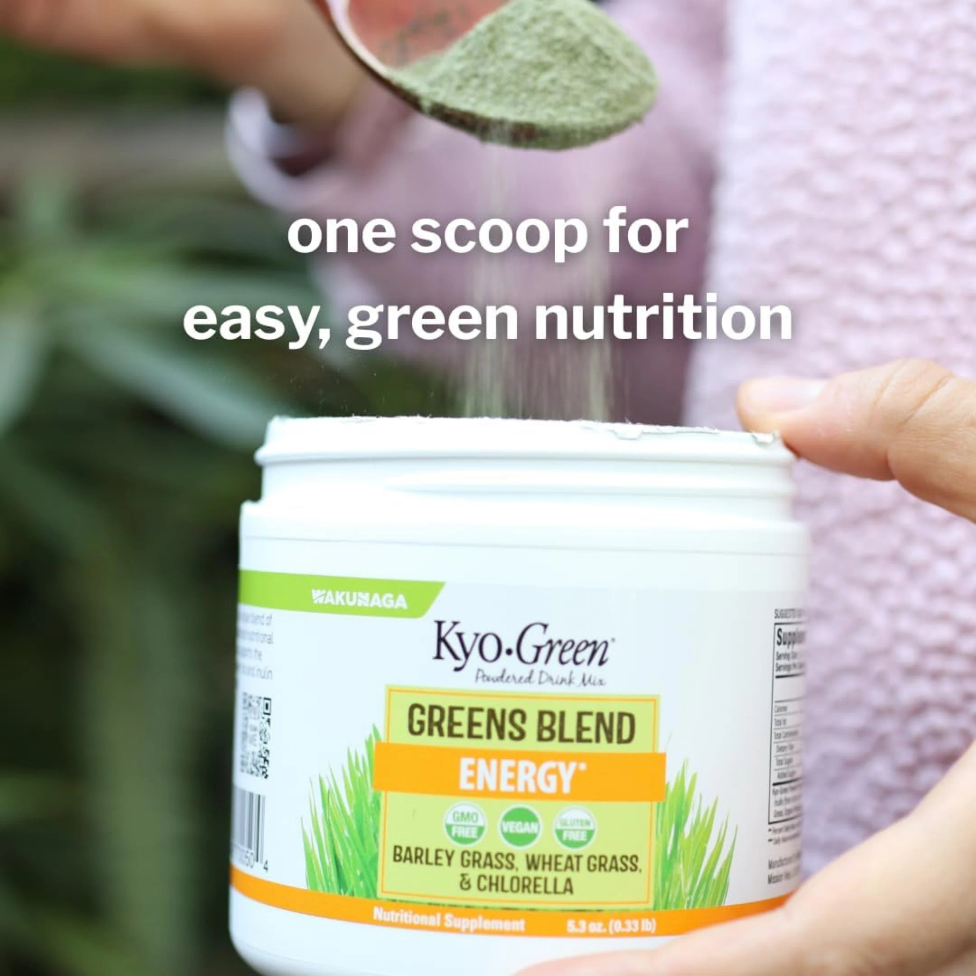 Kyolic, Kyo-Green, Powdered Drink Mix, Greens Blend, 5.3 oz, 0.33 lb