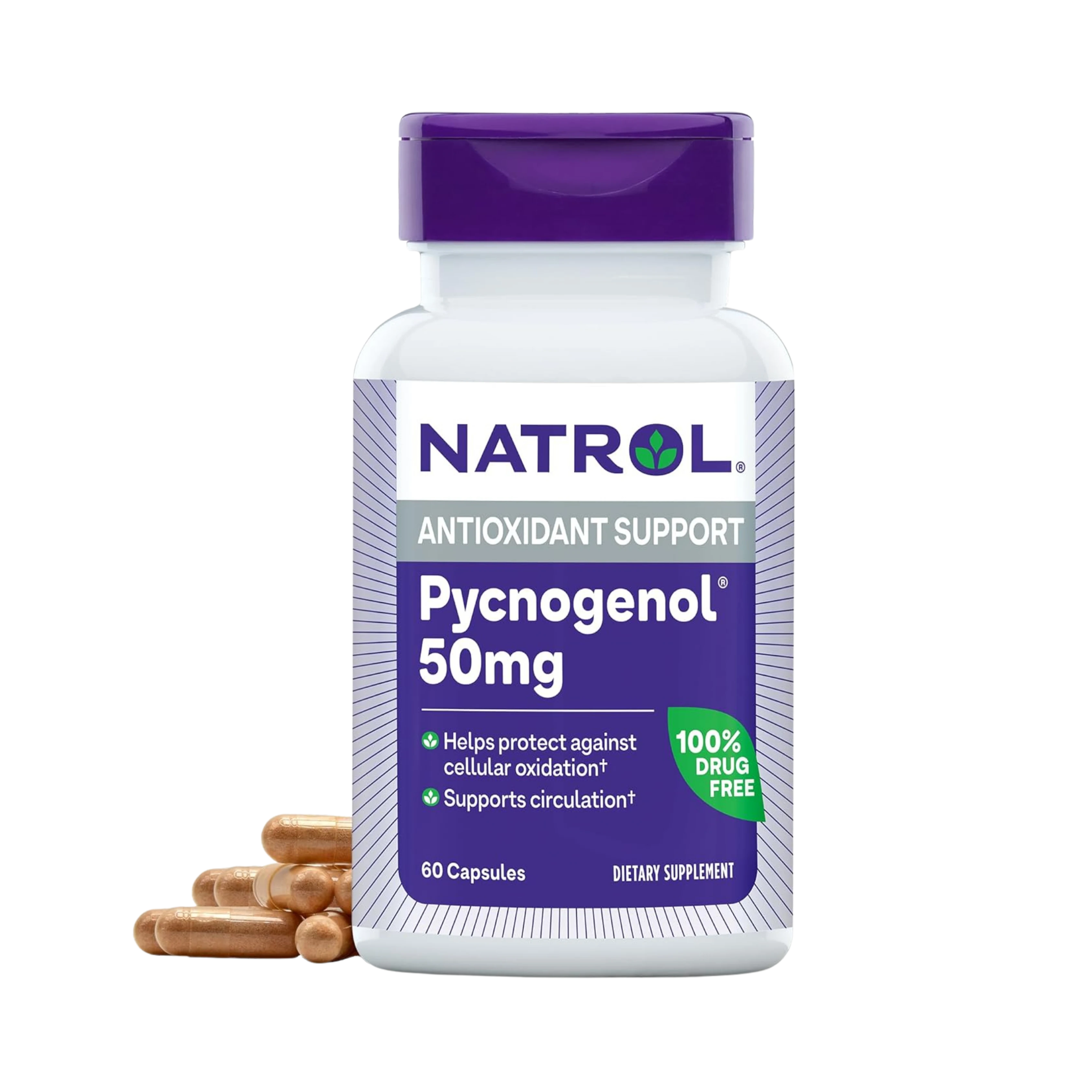Natrol,  Pycnogenol 50mg, 60 Capsules