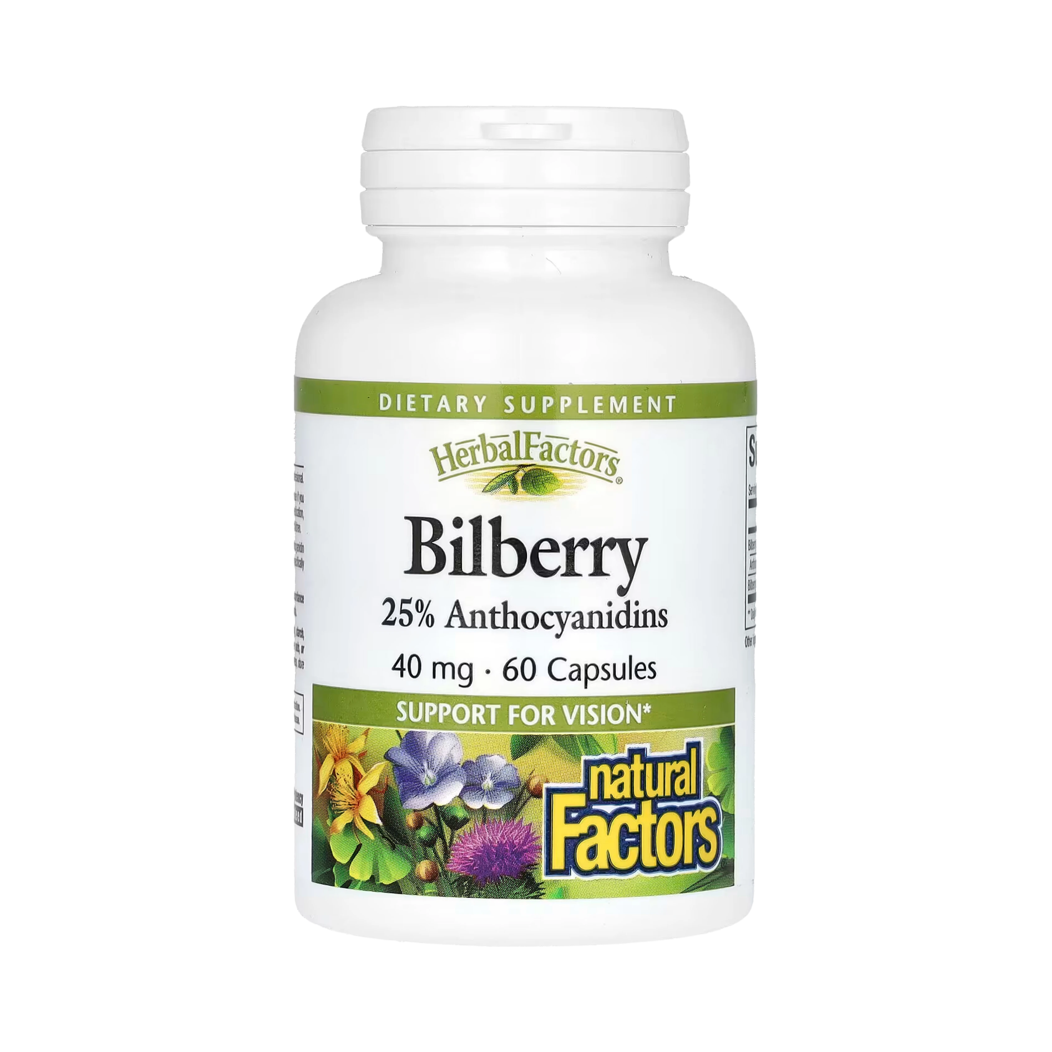 Natural Factors, Bilberry, 40 Mg, 60 Capsules