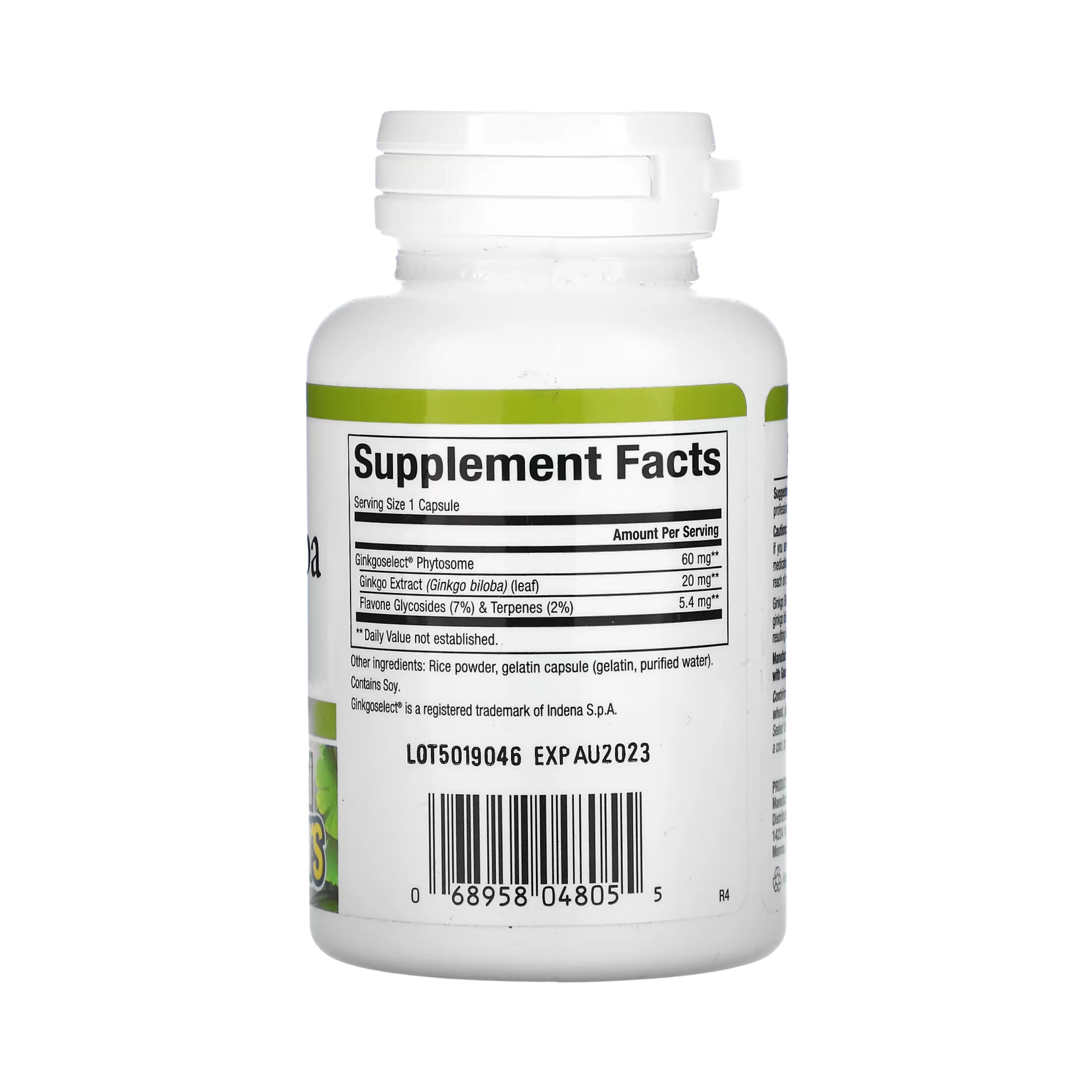 Natural Factors, Ginkgo Biloba, Phytosome, 60 Mg, 60 Capsules