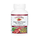 60 Vegetarian Capsules
