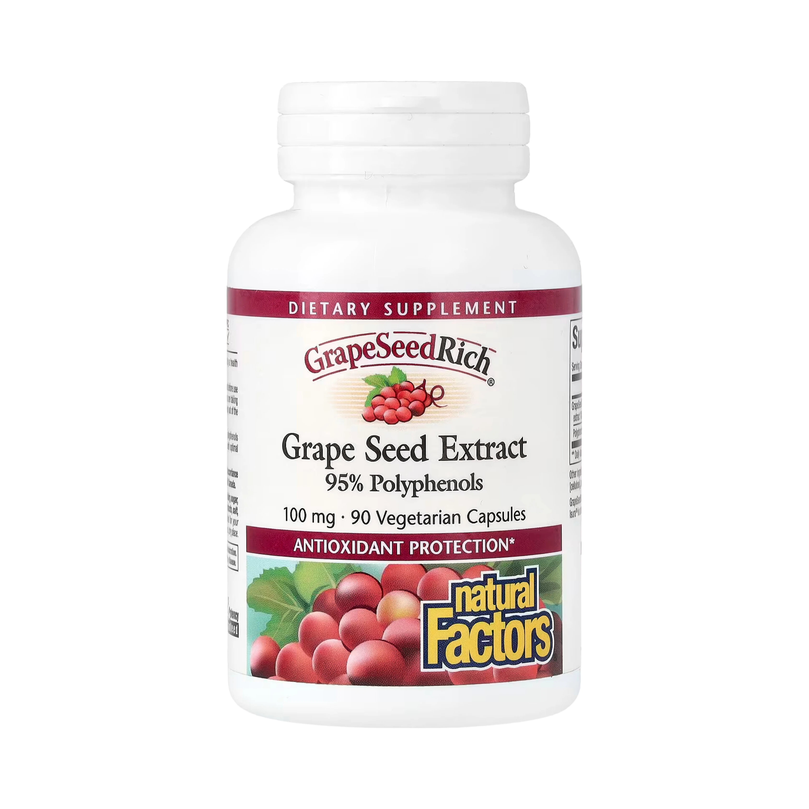 Natural Factors, GrapeSeedRich, Grape Seed Extract, 100 Mg, 90 Vegetarian Capsules