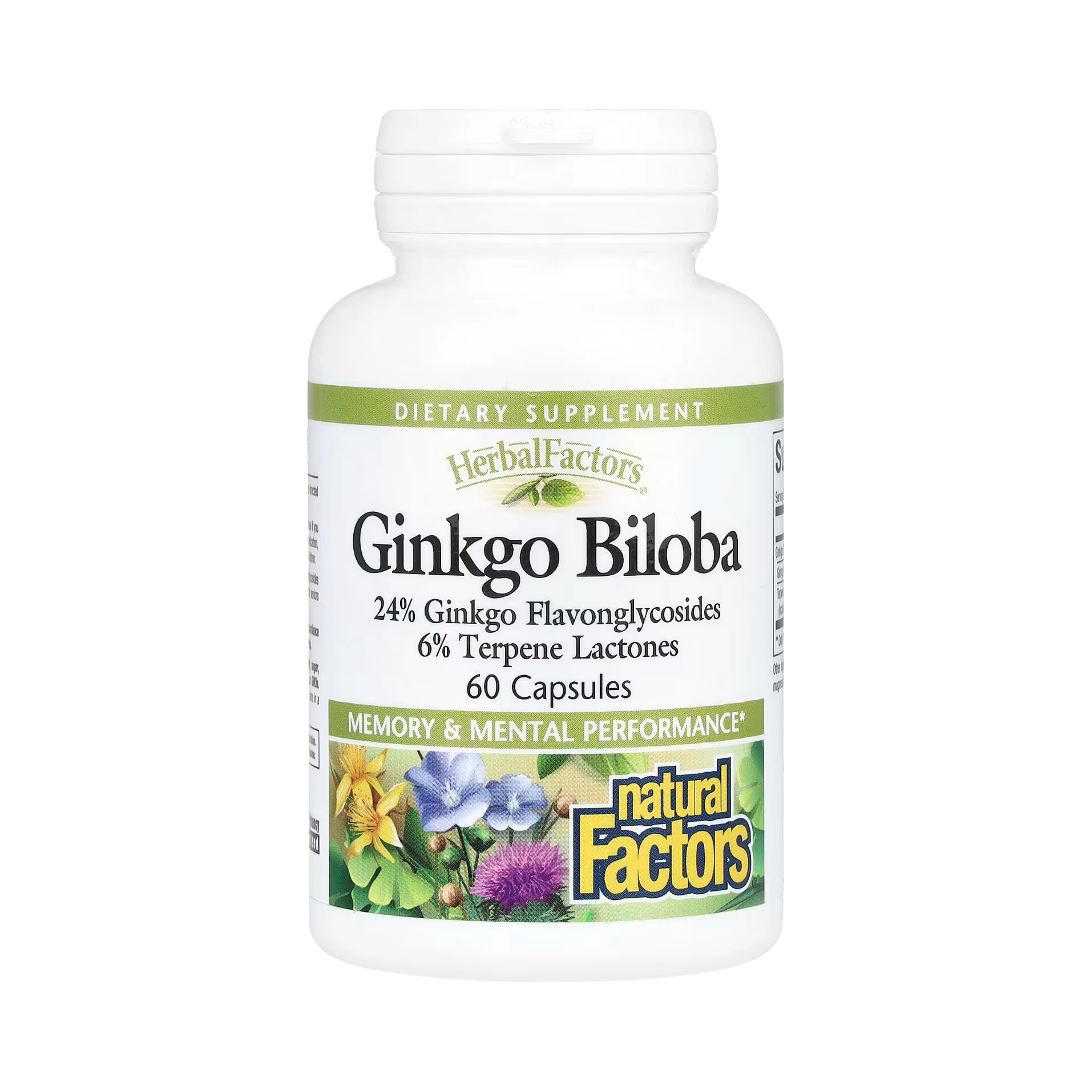 Natural Factors, HerbalFactors, Ginkgo Biloba, 60 Capsules