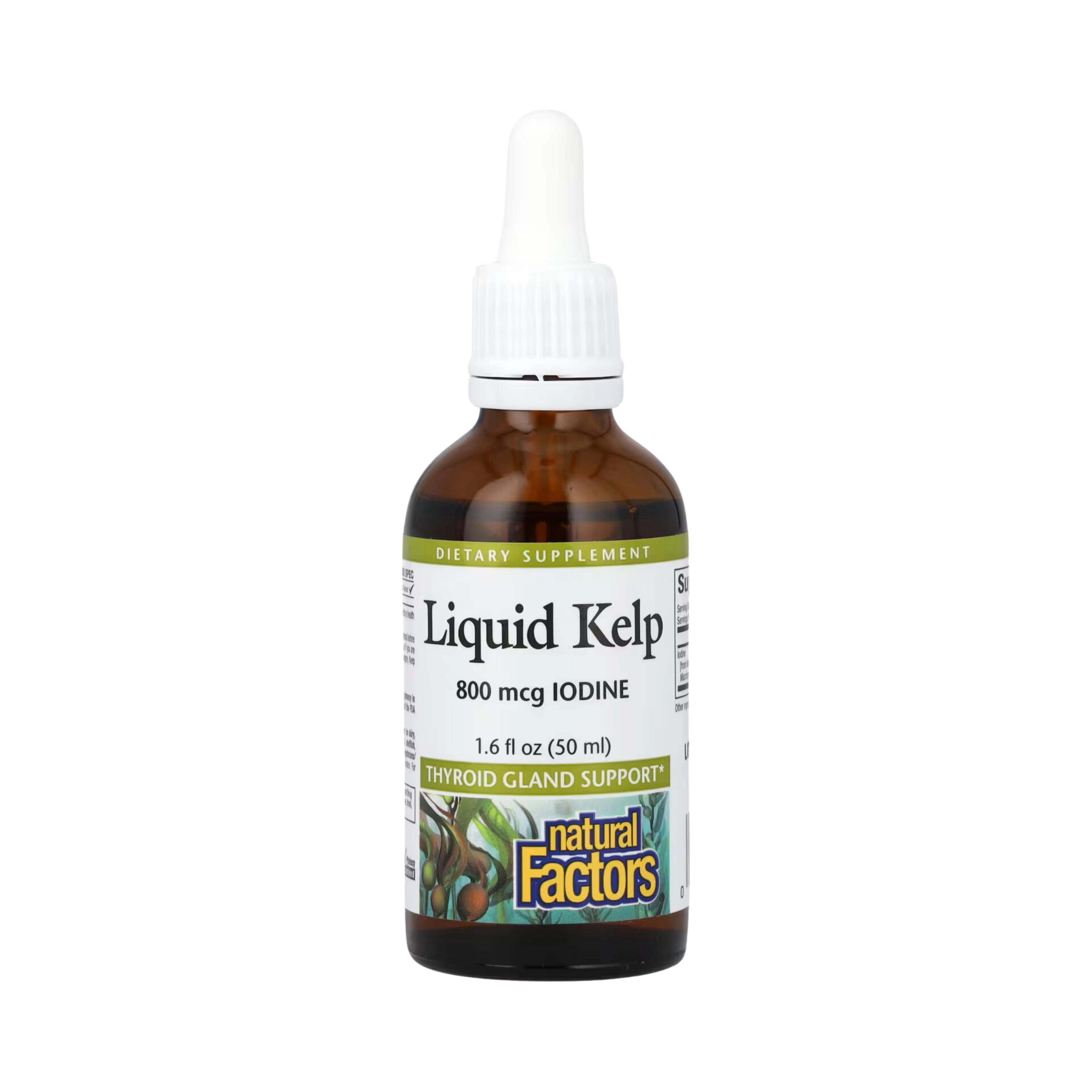 Natural Factors, Liquid Kelp, 800 Mcg, 1.6 Fl Oz