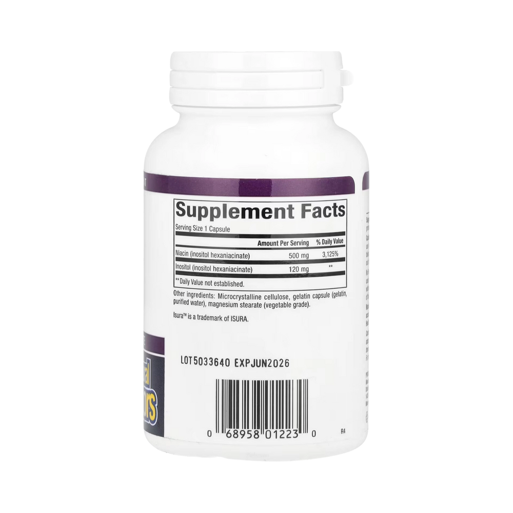 Natural Factors, Niacin, No Flush, 500 Mg, 90 Capsules