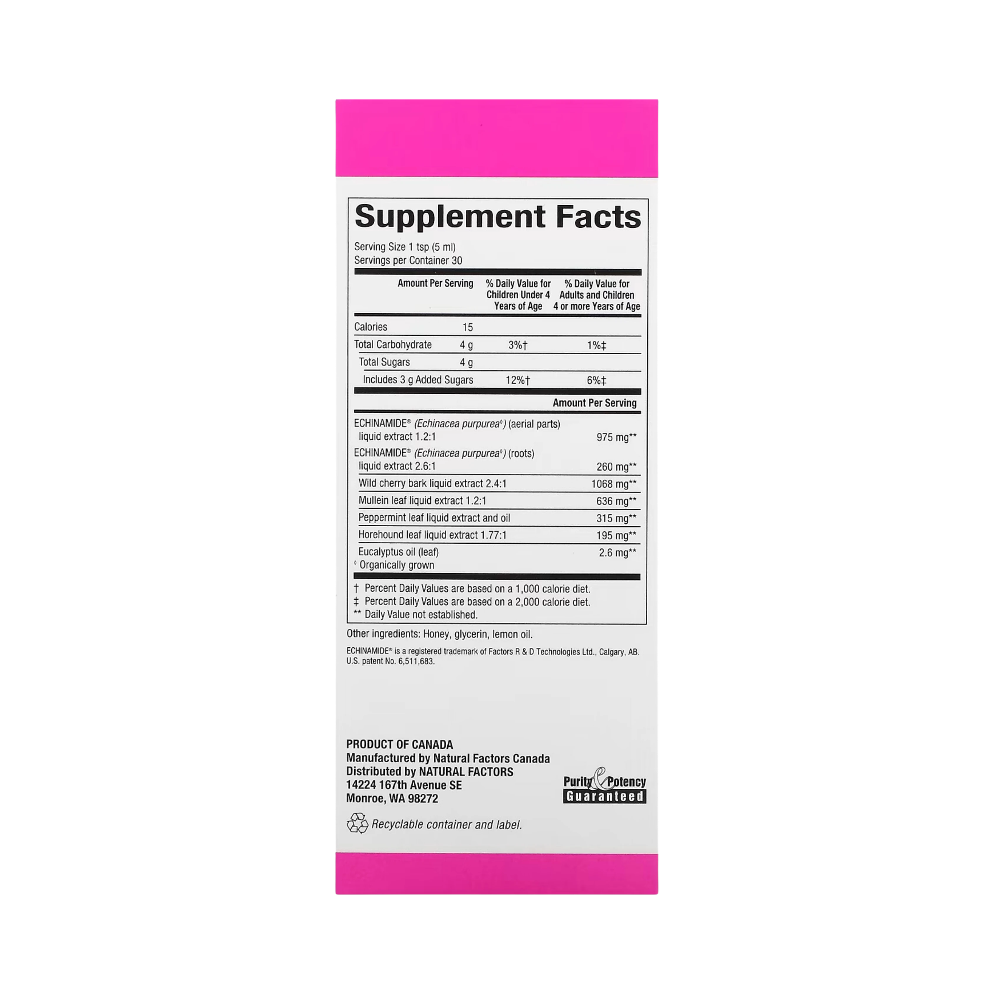 Natural Factors, Patented Echinamide Active Support, Honey Lemon Syrup, 5 Fl Oz