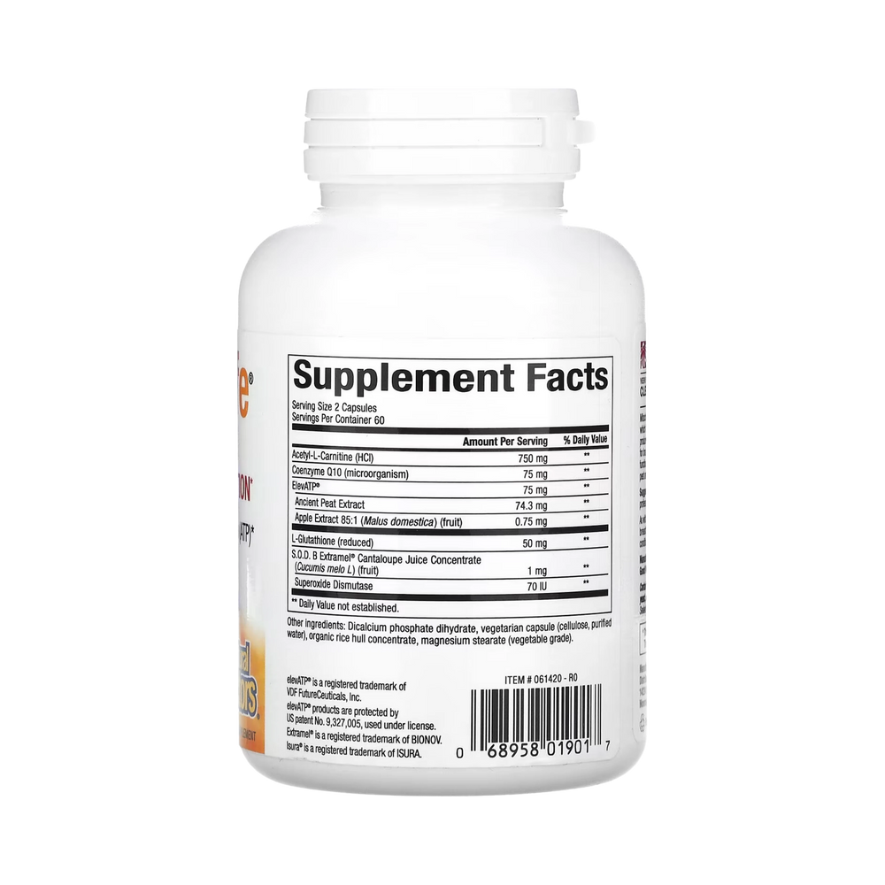 Natural Factors, RegenerLife, Optimize Mitochondrial Function, 120 Vegetarian Capsules