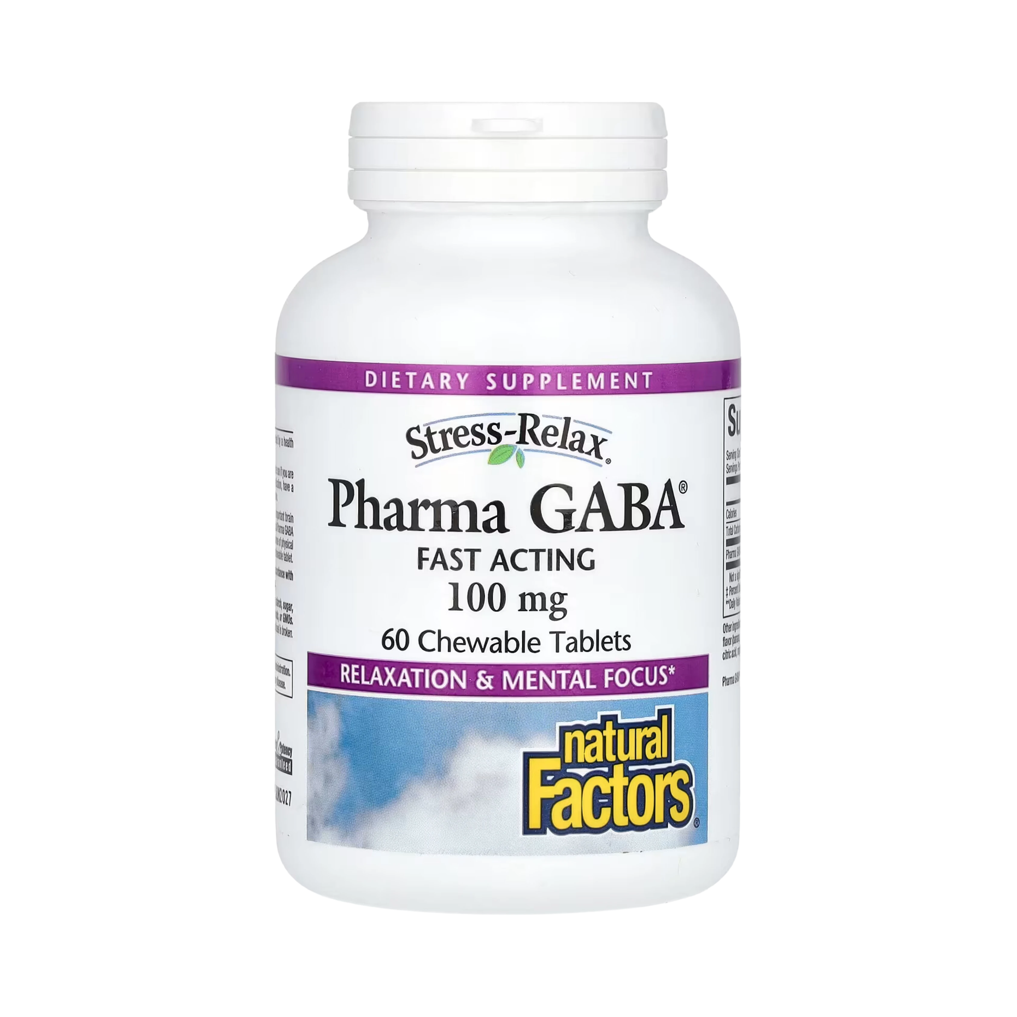 Natural Factors, Stress-Relax, Pharma GABA, 100 Mg, 60 Chewable Tablets