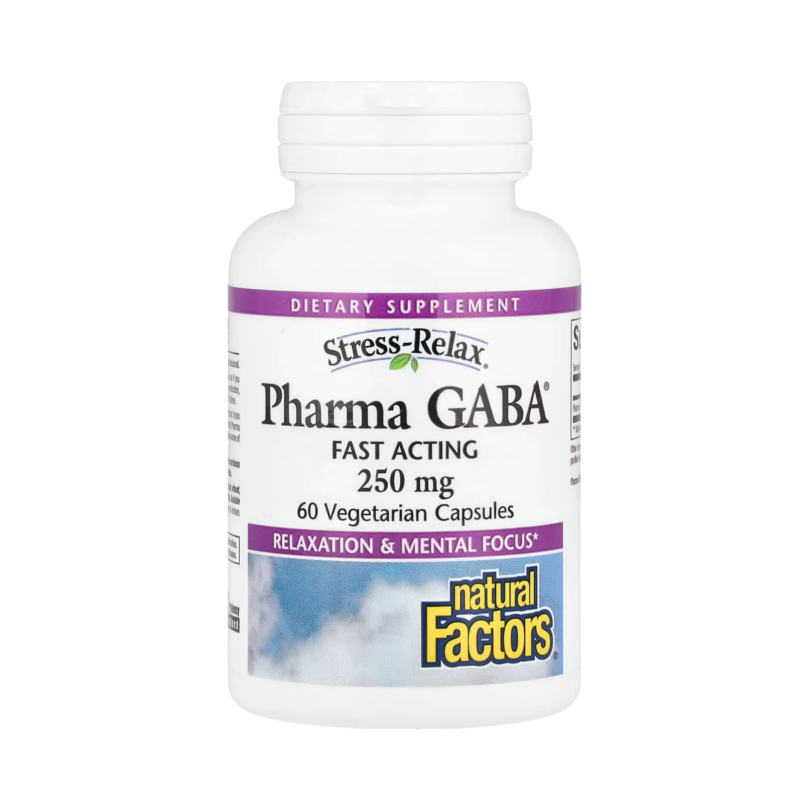 Natural Factors, Stress-Relax, Pharma GABA, 250 Mg, 60 Vegetarian Capsules