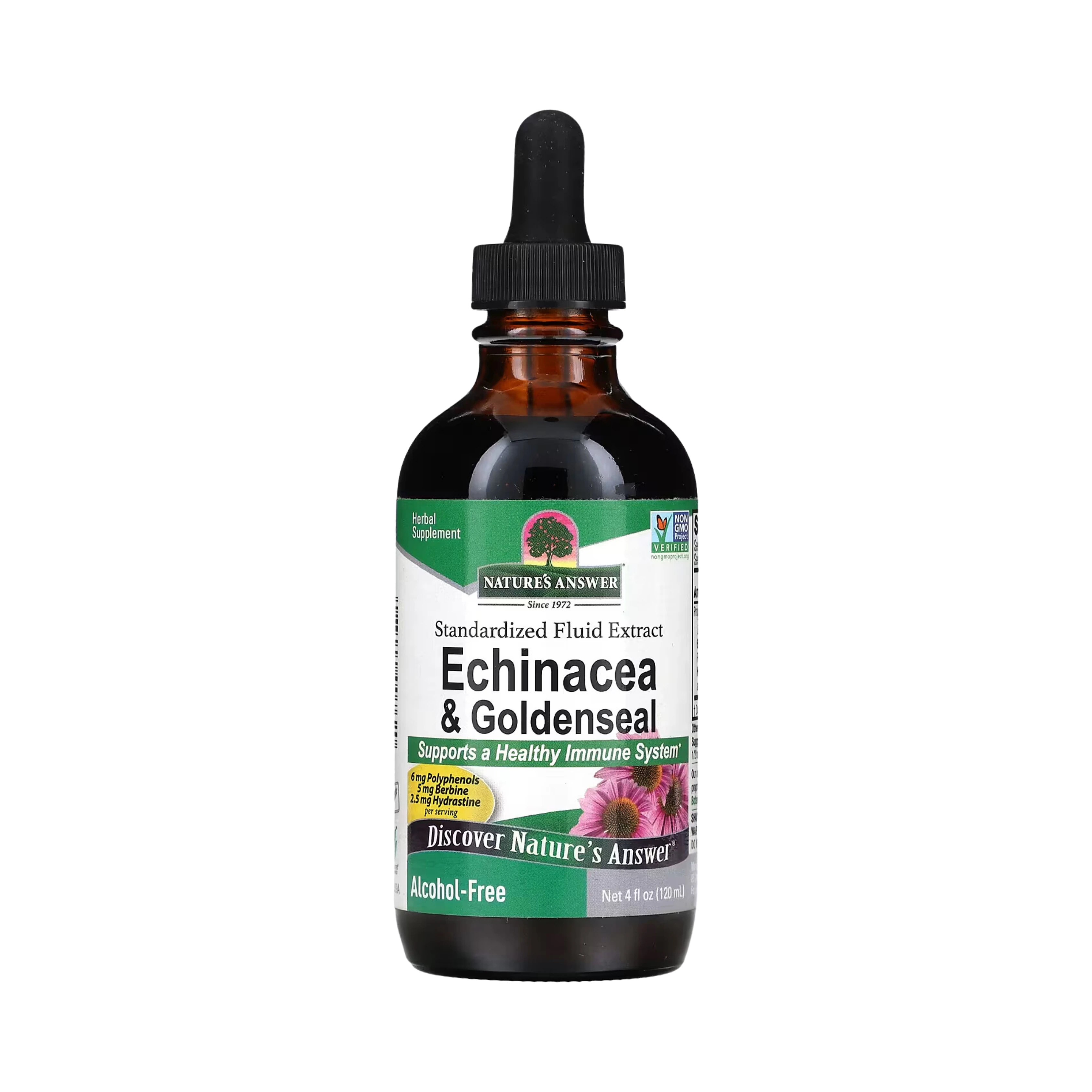 Nature's Answer - Echinacea & Goldenseal, Alcohol-Free, 4 OZ