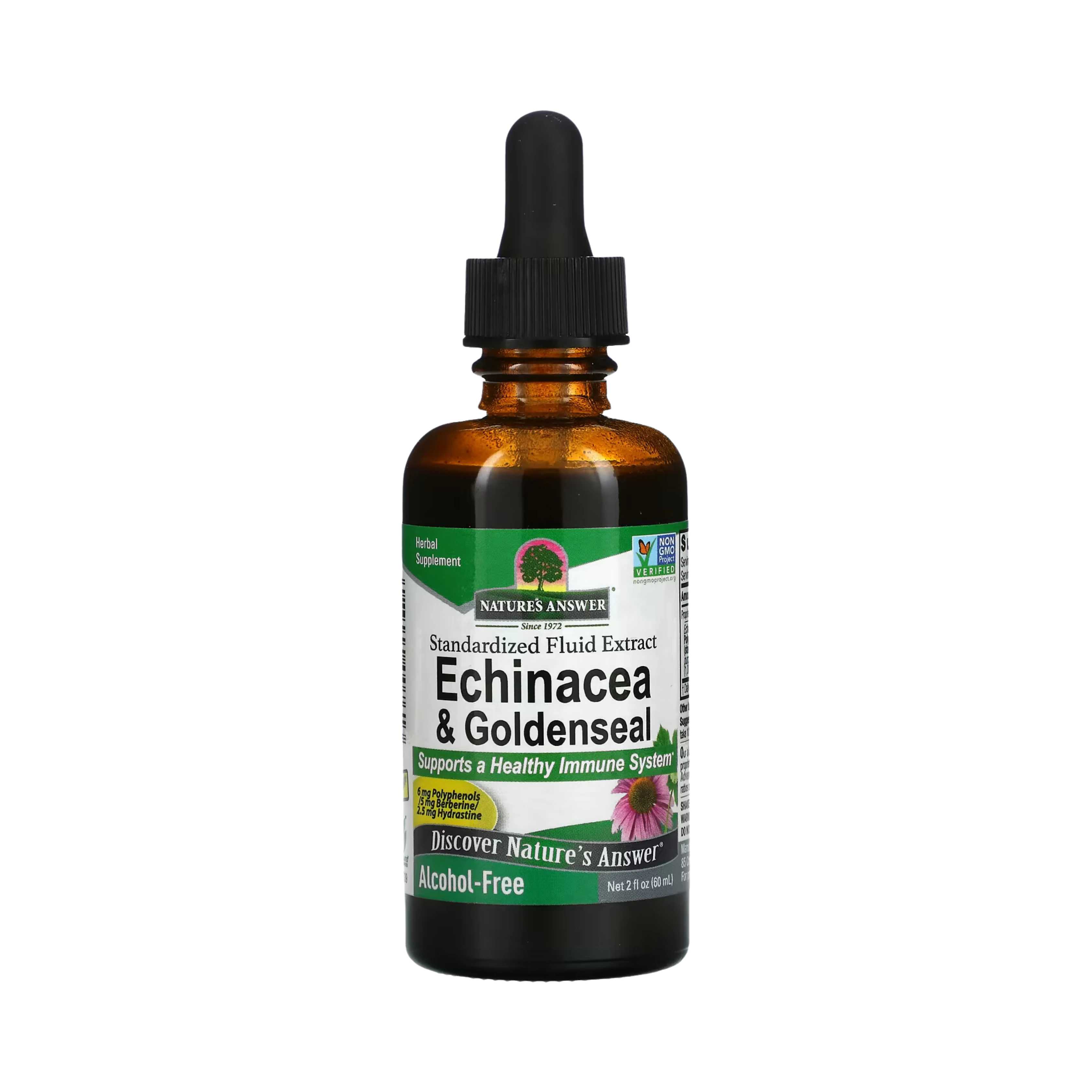 Nature’s Answer - Echinacea-Goldenseal Alcohol Free Extract, 2 Oz