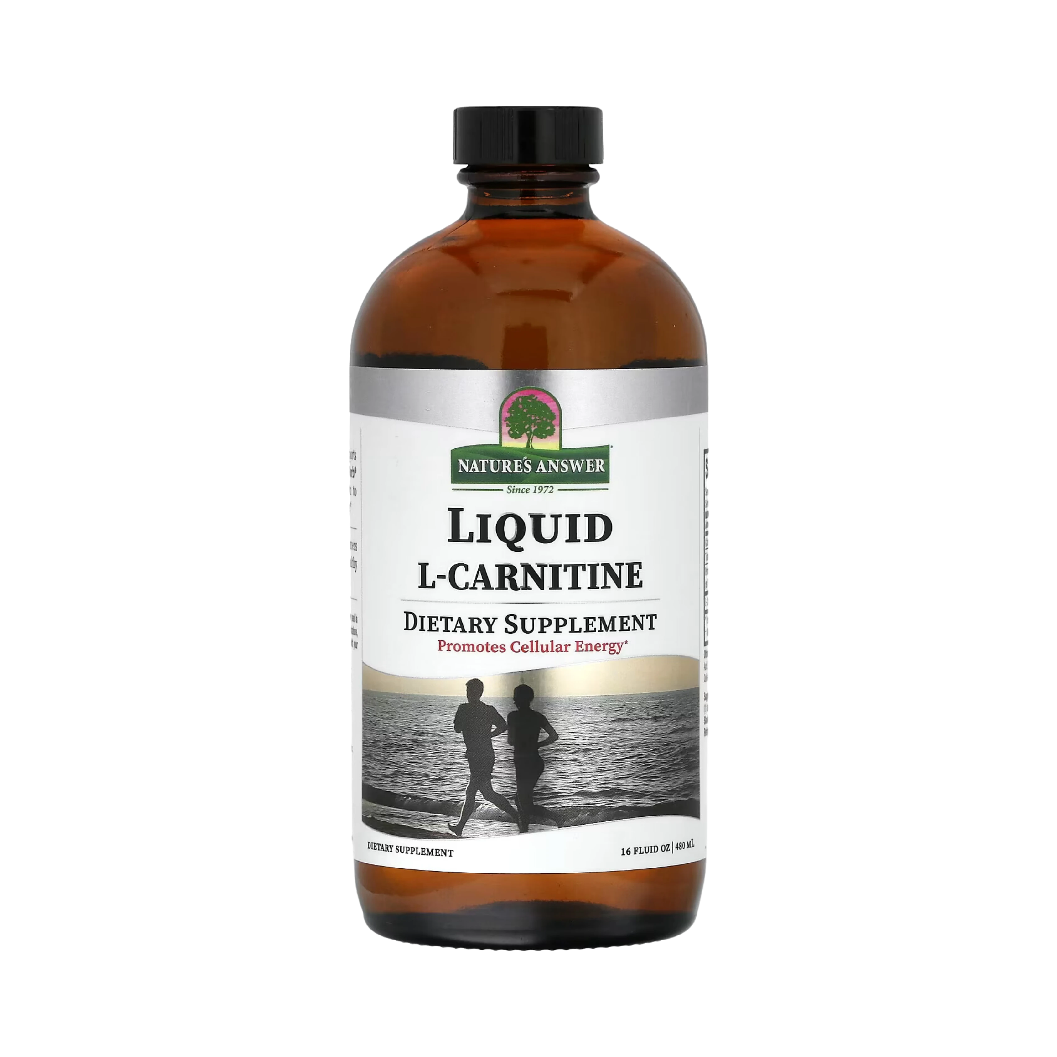 Nature's Answer - Liquid L-Carnitine, 16 OZ