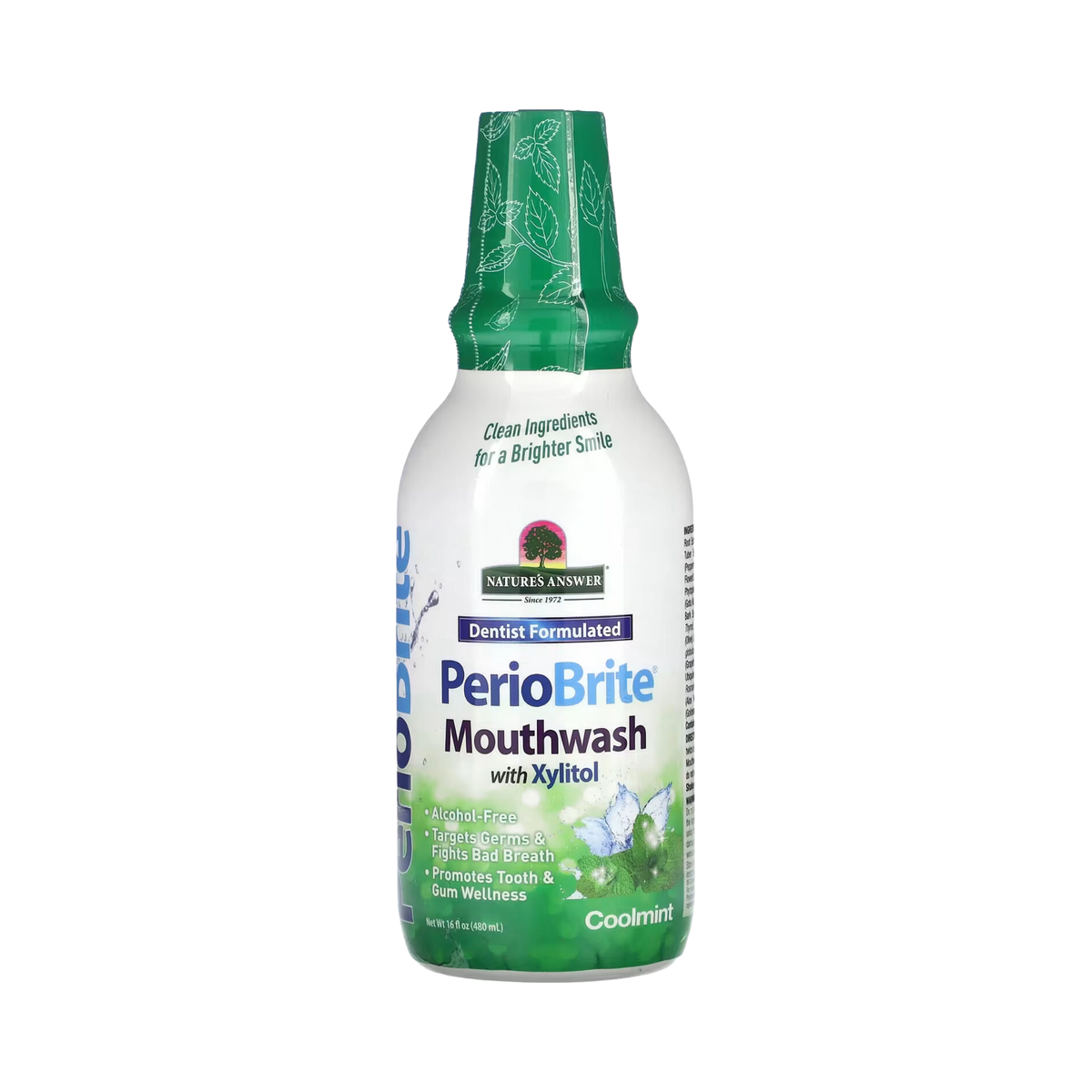 Nature's Answer - PERIOBRITE MOUTHWASH COOLMINT 16OZ