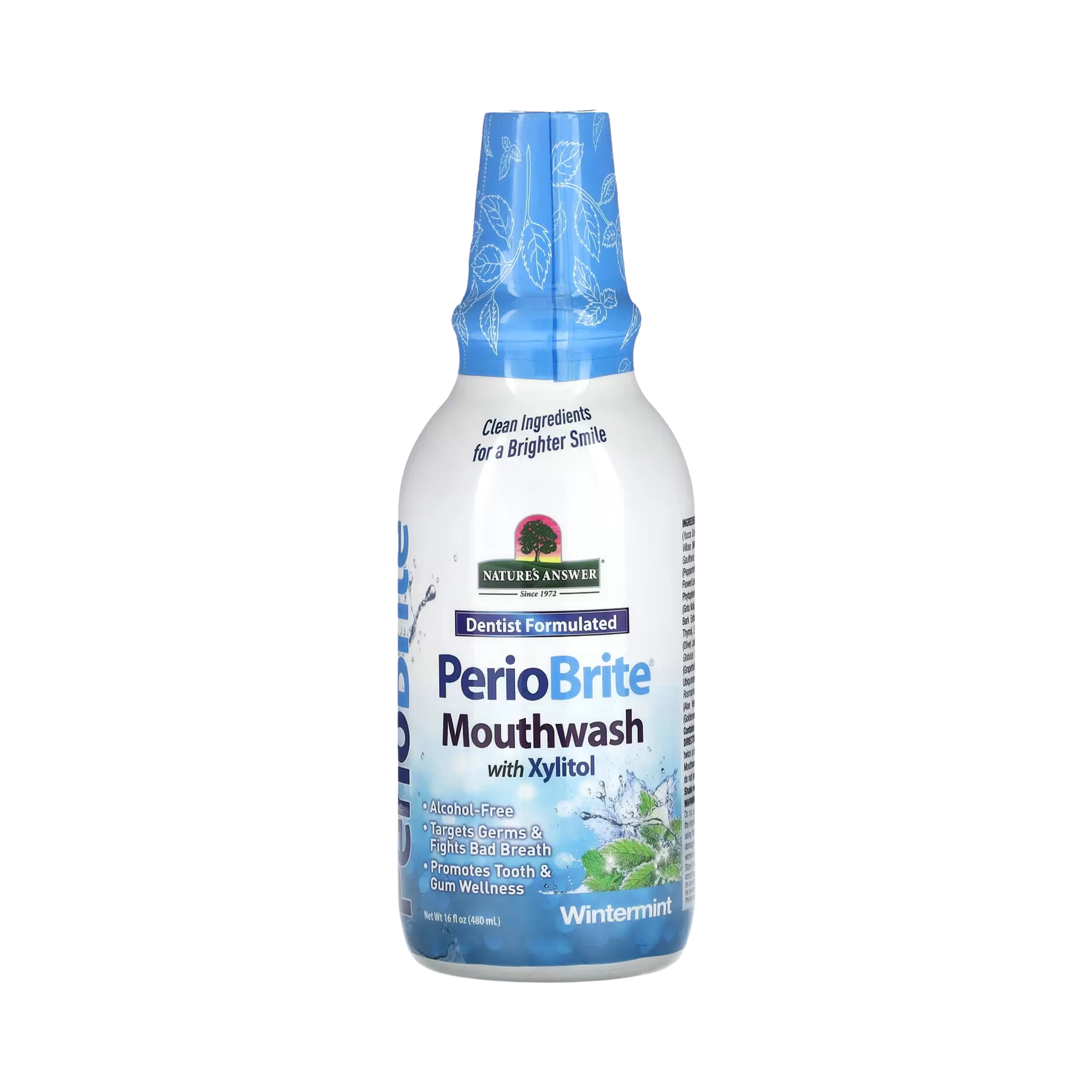 Nature's Answer - PERIOBRITE MOUTHWASH WINTERMINT 16OZ