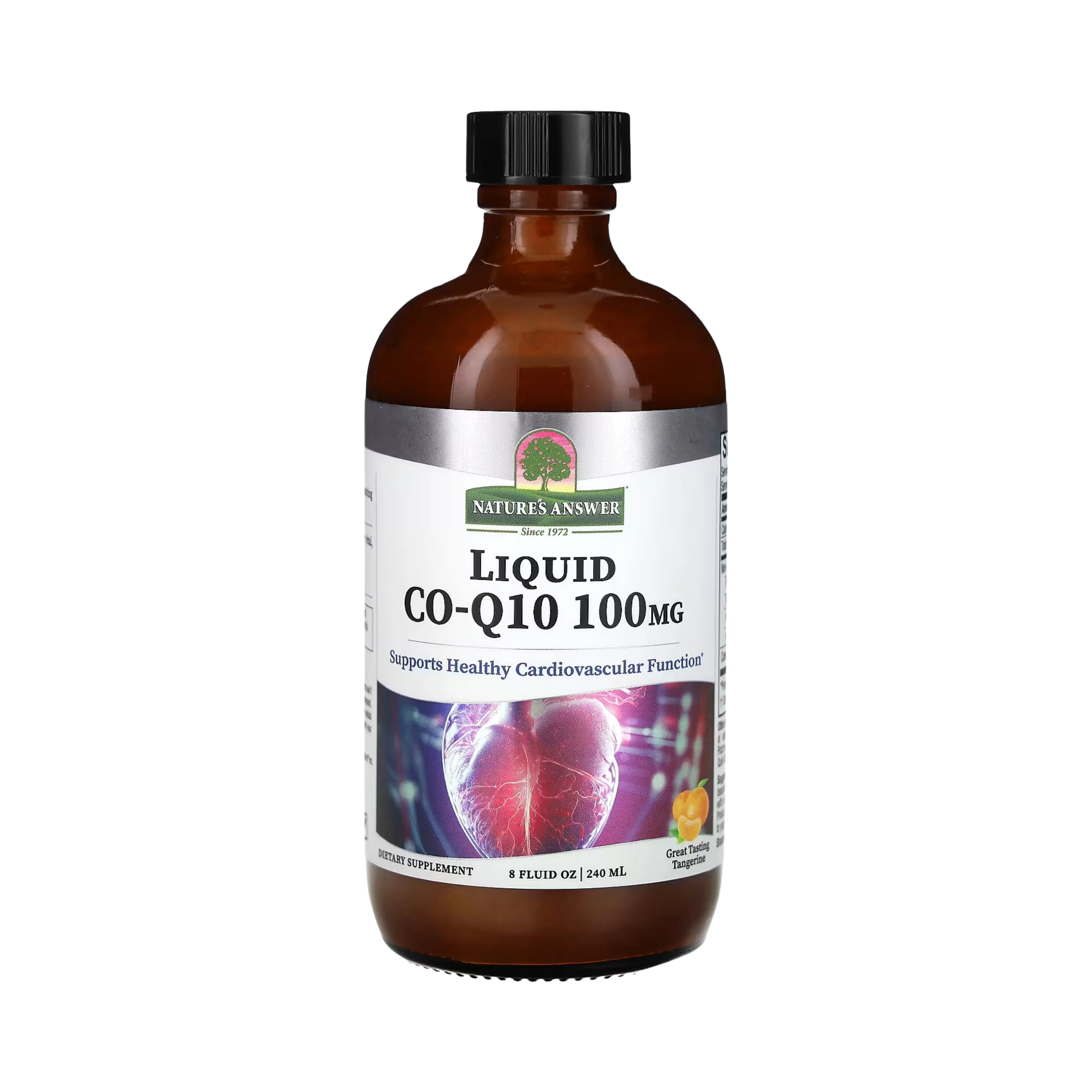 Nature’s Answer - Platinum Co-Q10, 8 Oz