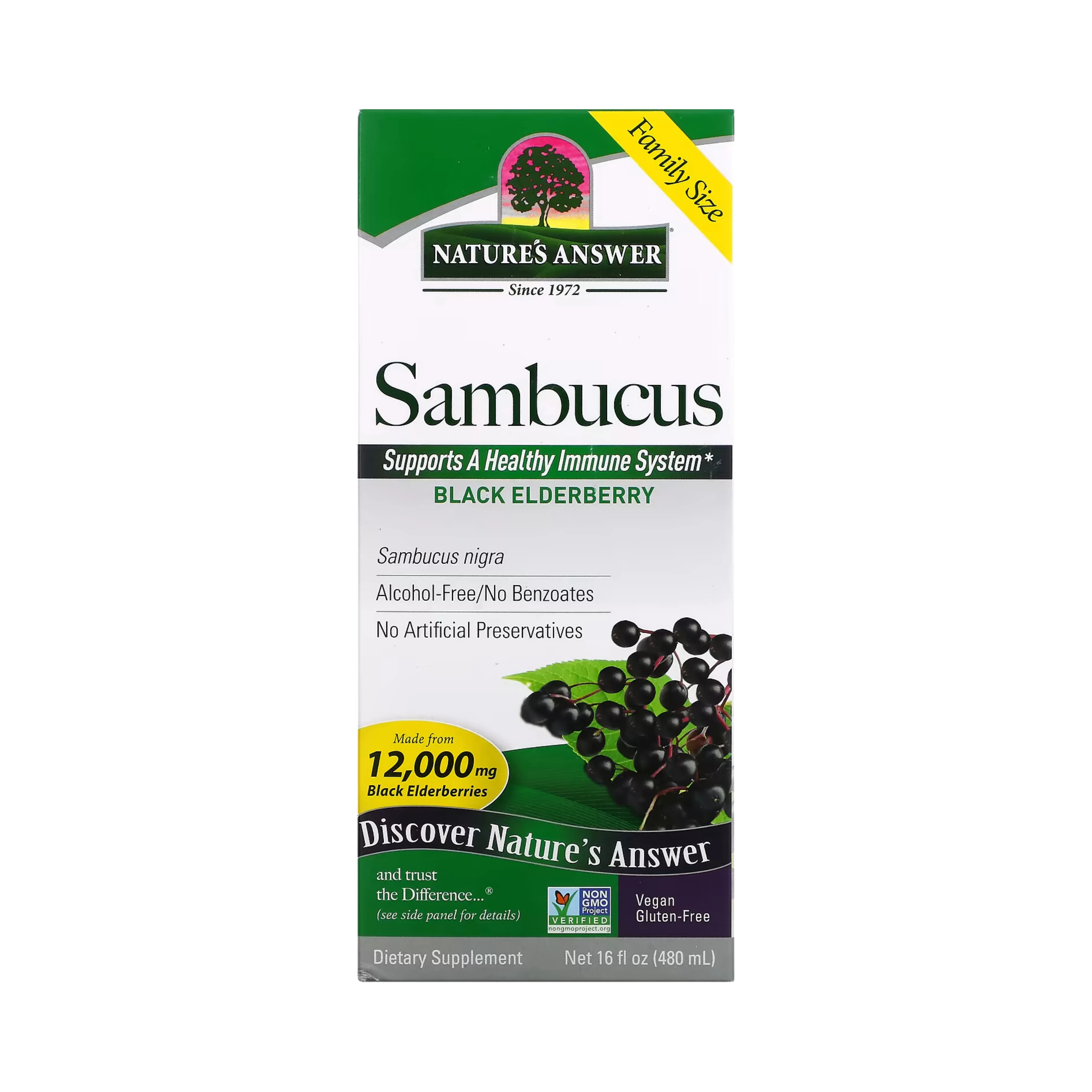 Nature's Answer - Sambucus, Black Elderberry, 16 OZ