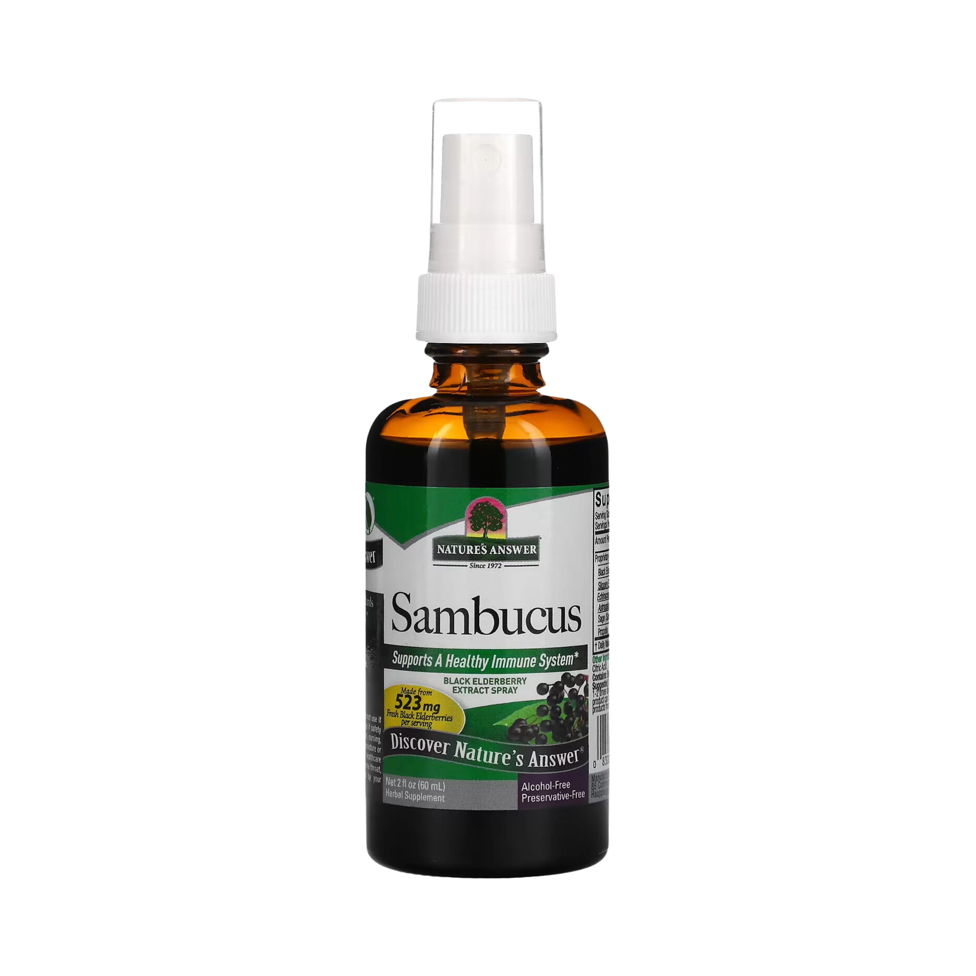 Nature's Answer, Sambucus, Black Elderberry Extract Spray, Alcohol-Free, 2 fl oz (60 ml)