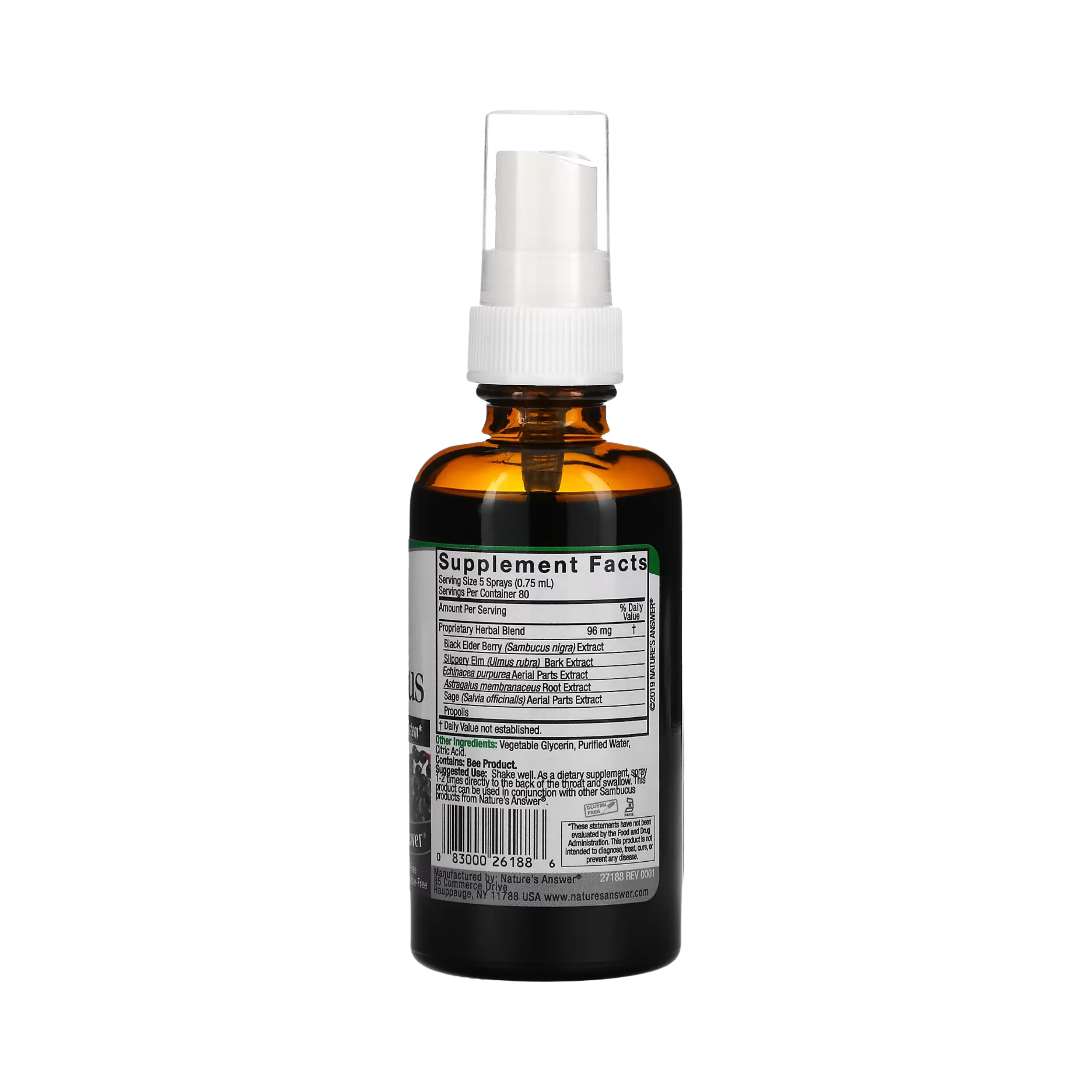 Nature's Answer, Sambucus, Black Elderberry Extract Spray, Alcohol-Free, 2 fl oz (60 ml)