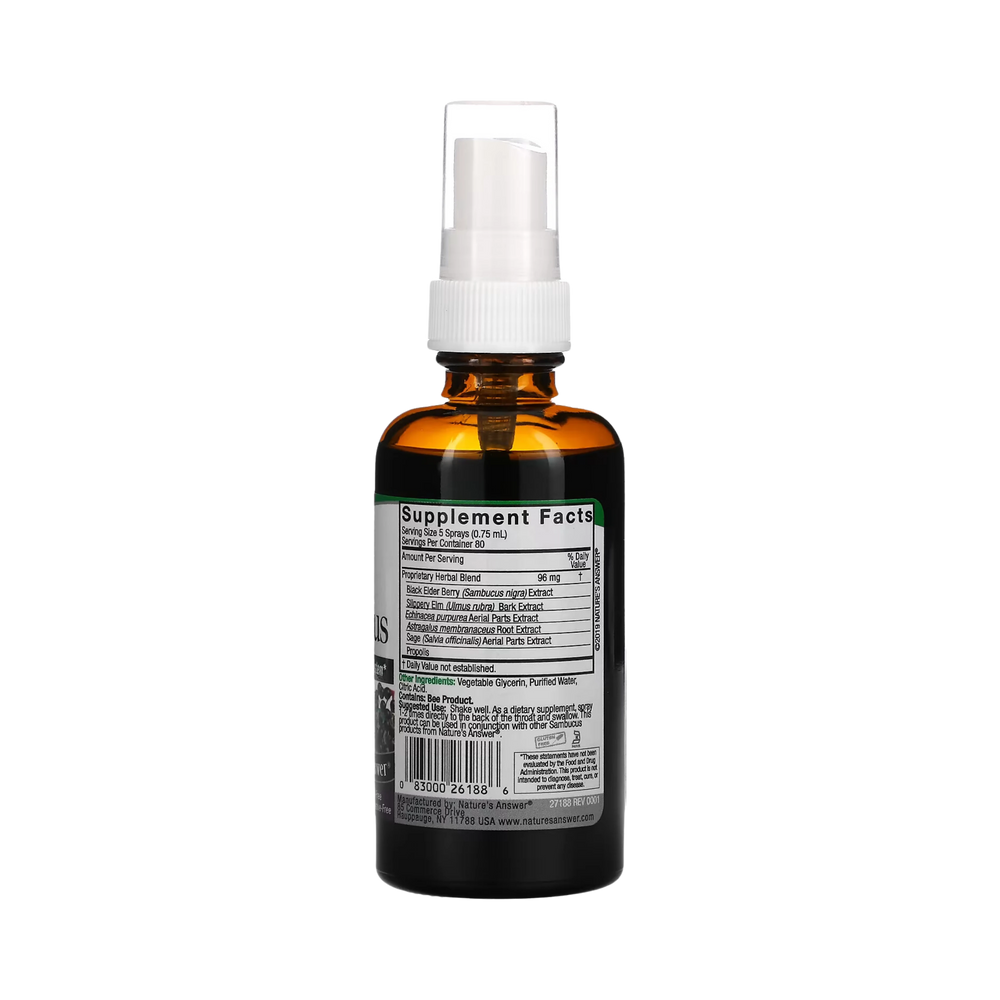 Nature's Answer, Sambucus, Black Elderberry Extract Spray, Alcohol-Free, 2 fl oz (60 ml)