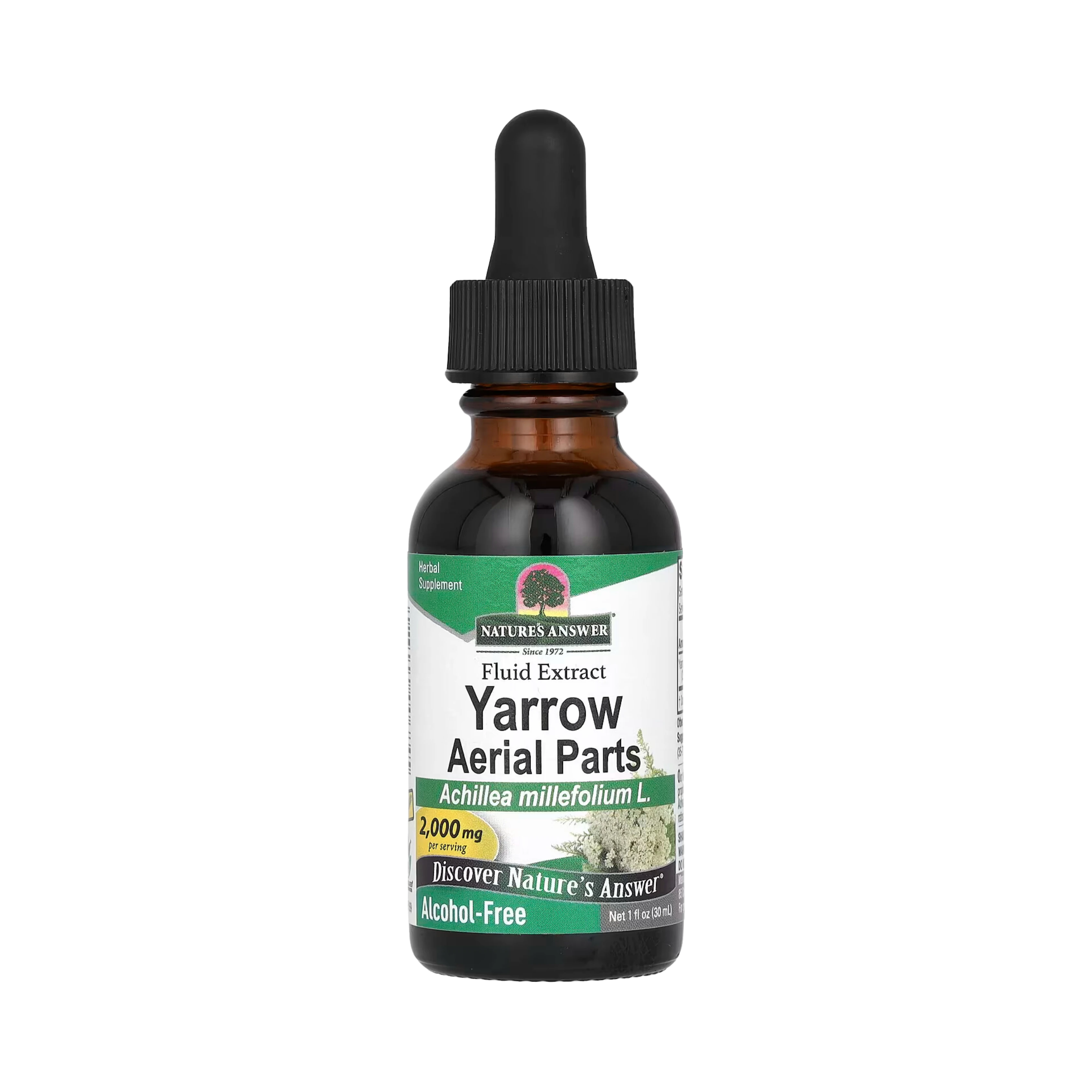Nature’s Answer - Yarrow Flowers Alcohol Free Extract, 1 Oz