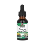 Nature’s Answer - Yarrow Flowers Alcohol Free Extract, 1 Oz