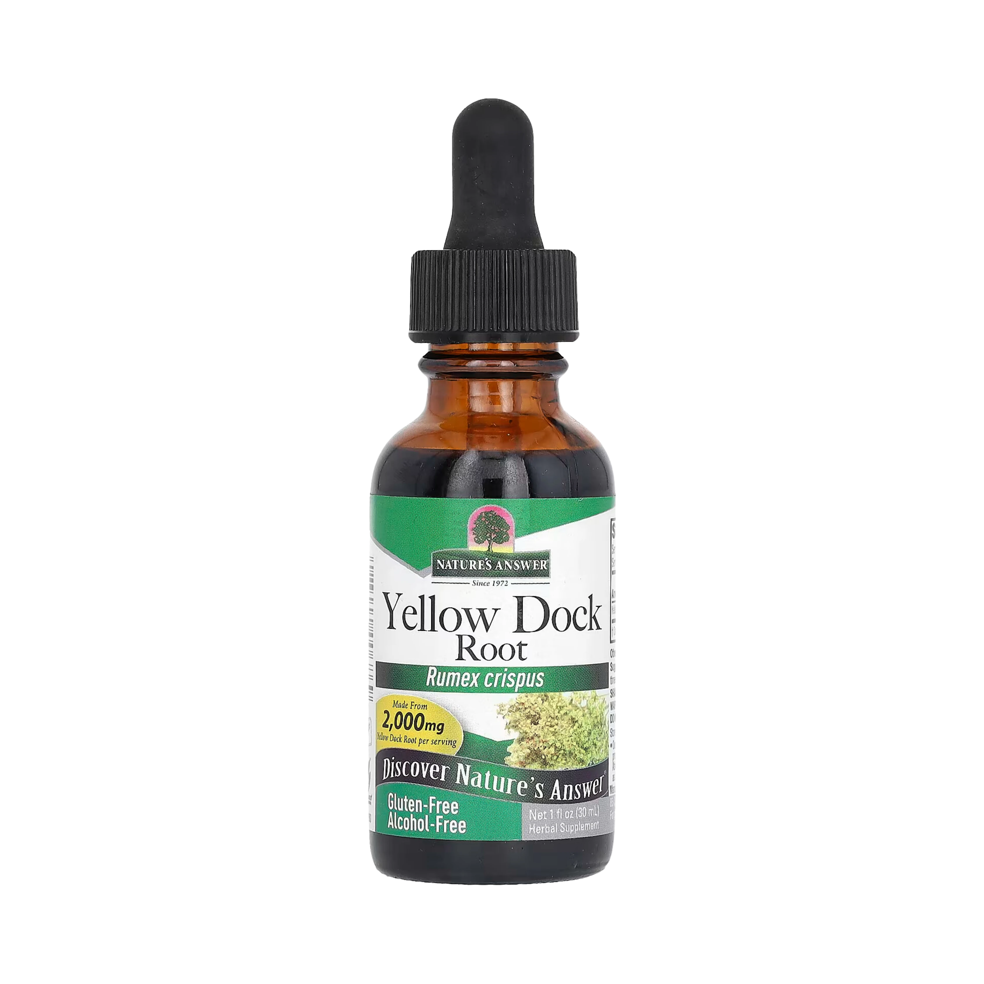 Nature's Answer - Yellow Dock Root, Alcohol-Free, 1 OZ