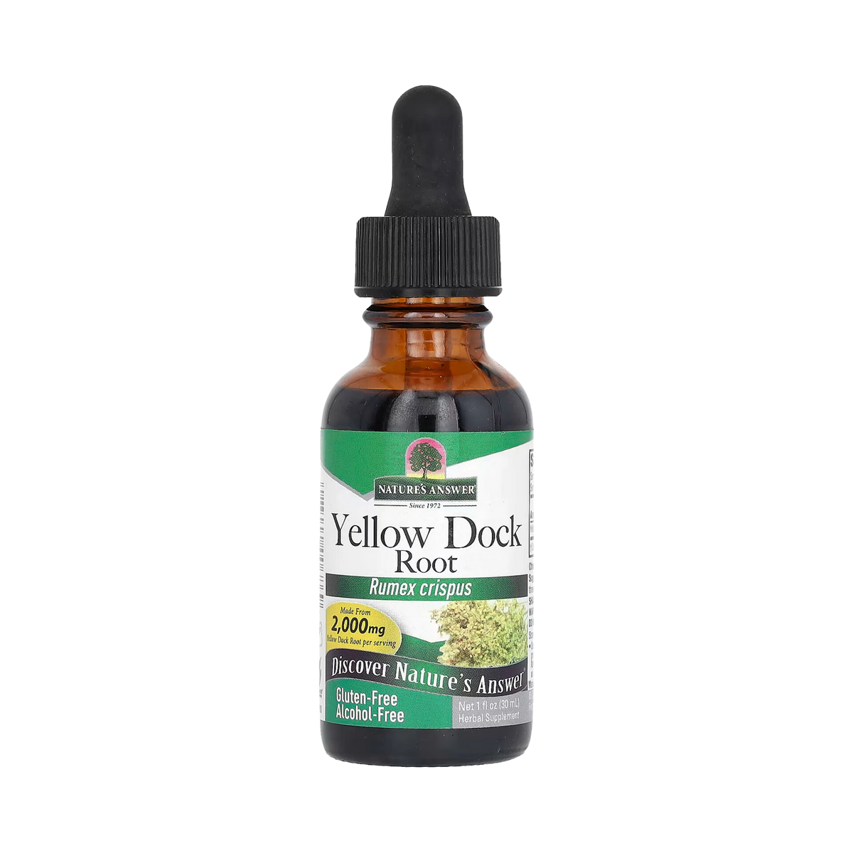 Nature's Answer - Yellow Dock Root, Alcohol-Free, 1 OZ