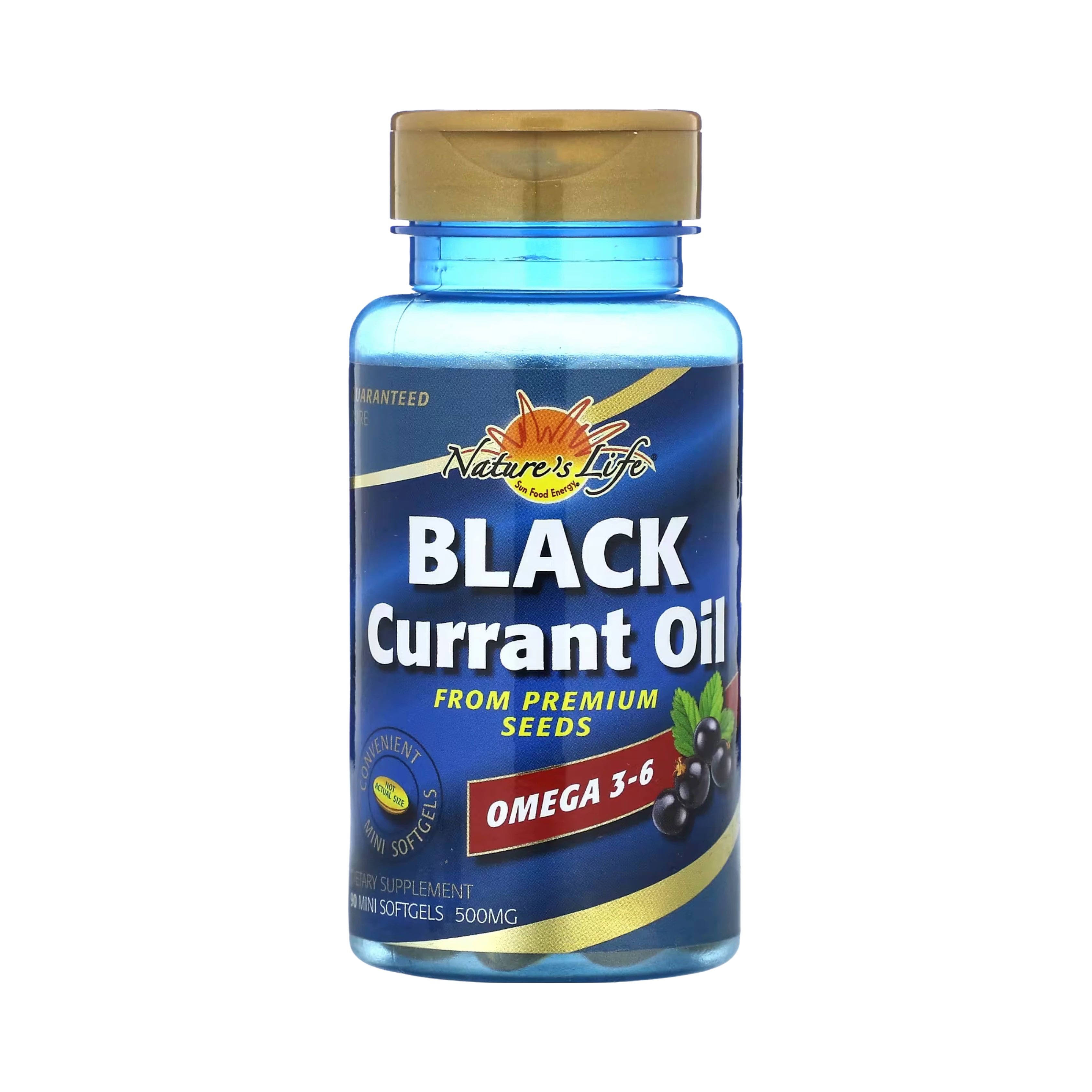 Nature's Life, Black Currant Oil, 500 mg, 90 Mini Softgels