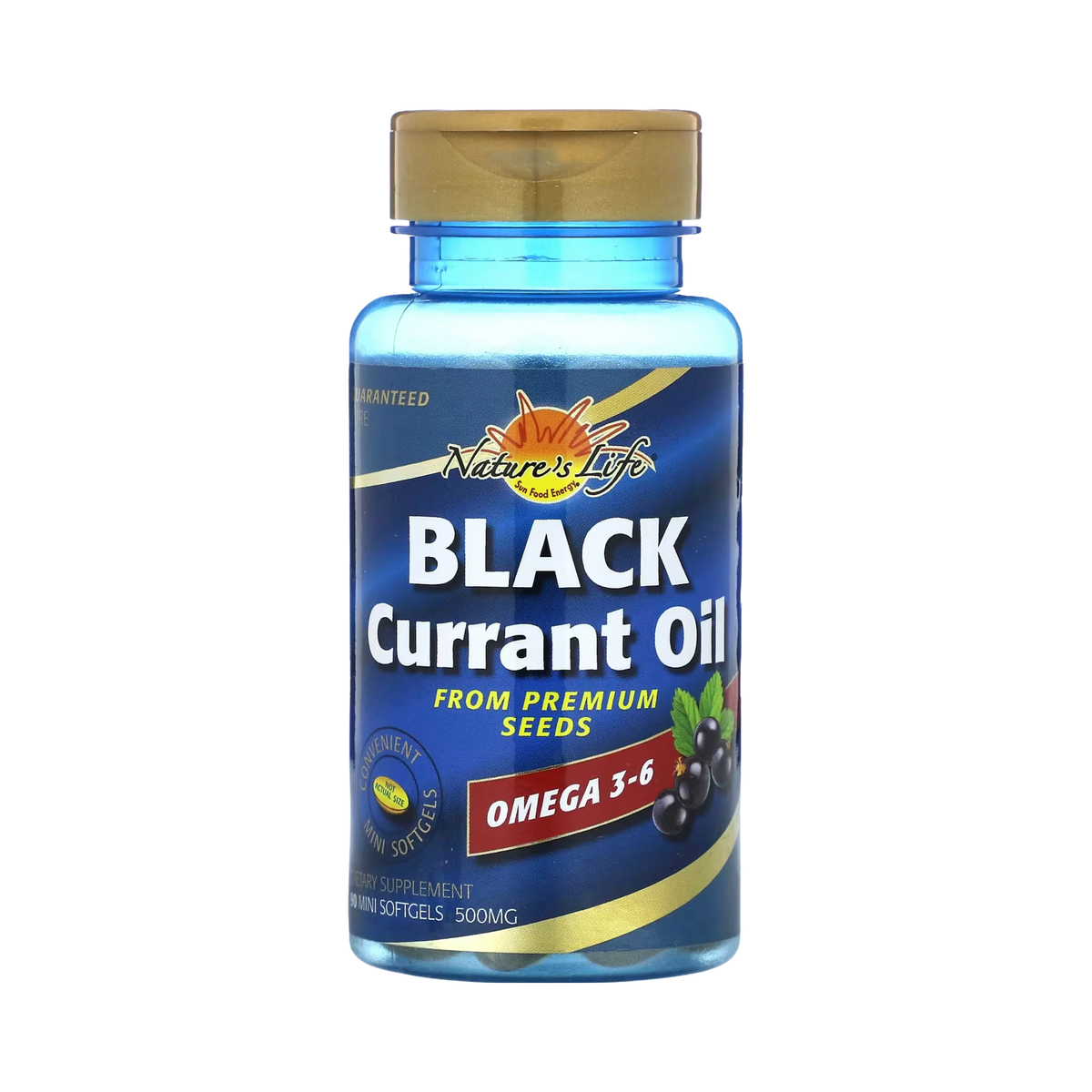 Nature's Life, Black Currant Oil, 500 mg, 90 Mini Softgels