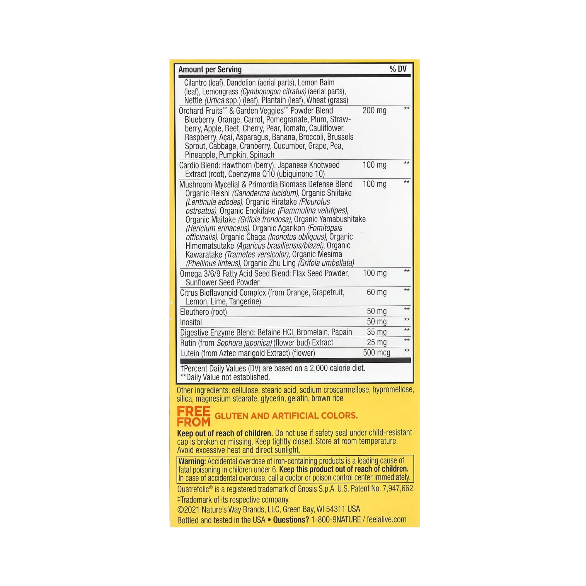 Nature's Way, Alive! Max3 Potency Multivitamin,No Iron, 60 Capsules