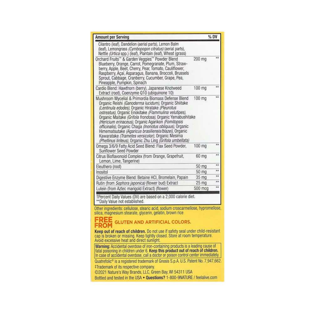 Nature's Way, Alive! Max3 Potency Multivitamin,No Iron, 60 Capsules