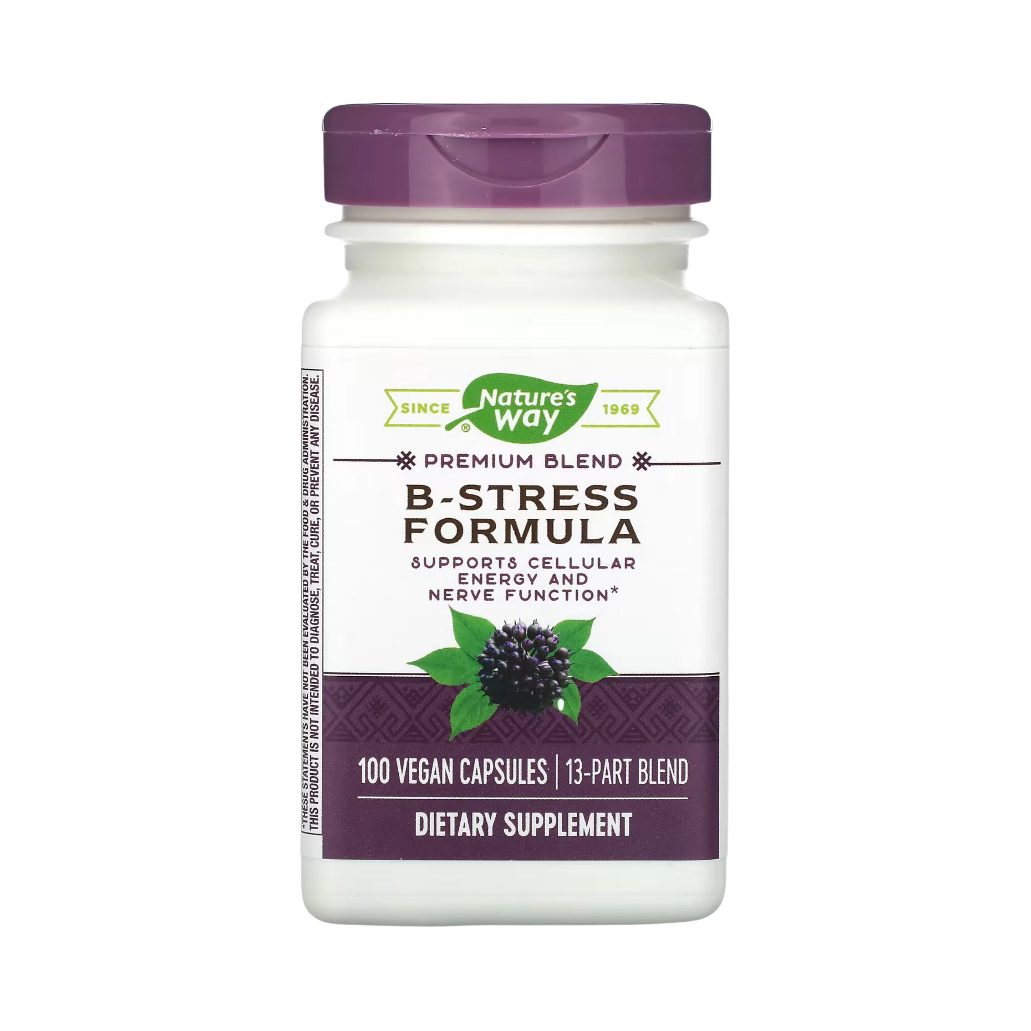 Nature's Way, B-Stress Formula, 100 caps
