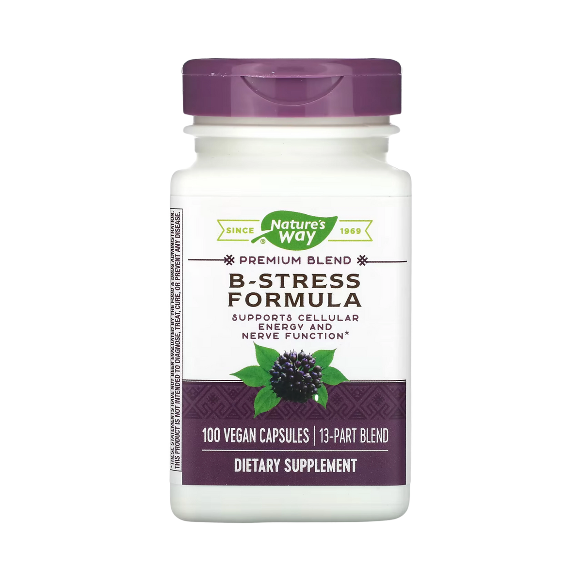 Nature's Way, B-Stress Formula, 100 caps